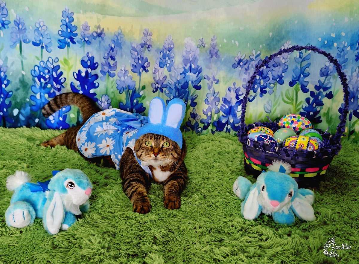 Kate Blossoming Bluebonnets Backdrop Designed by Patty Robertss - Kate Backdrop AU