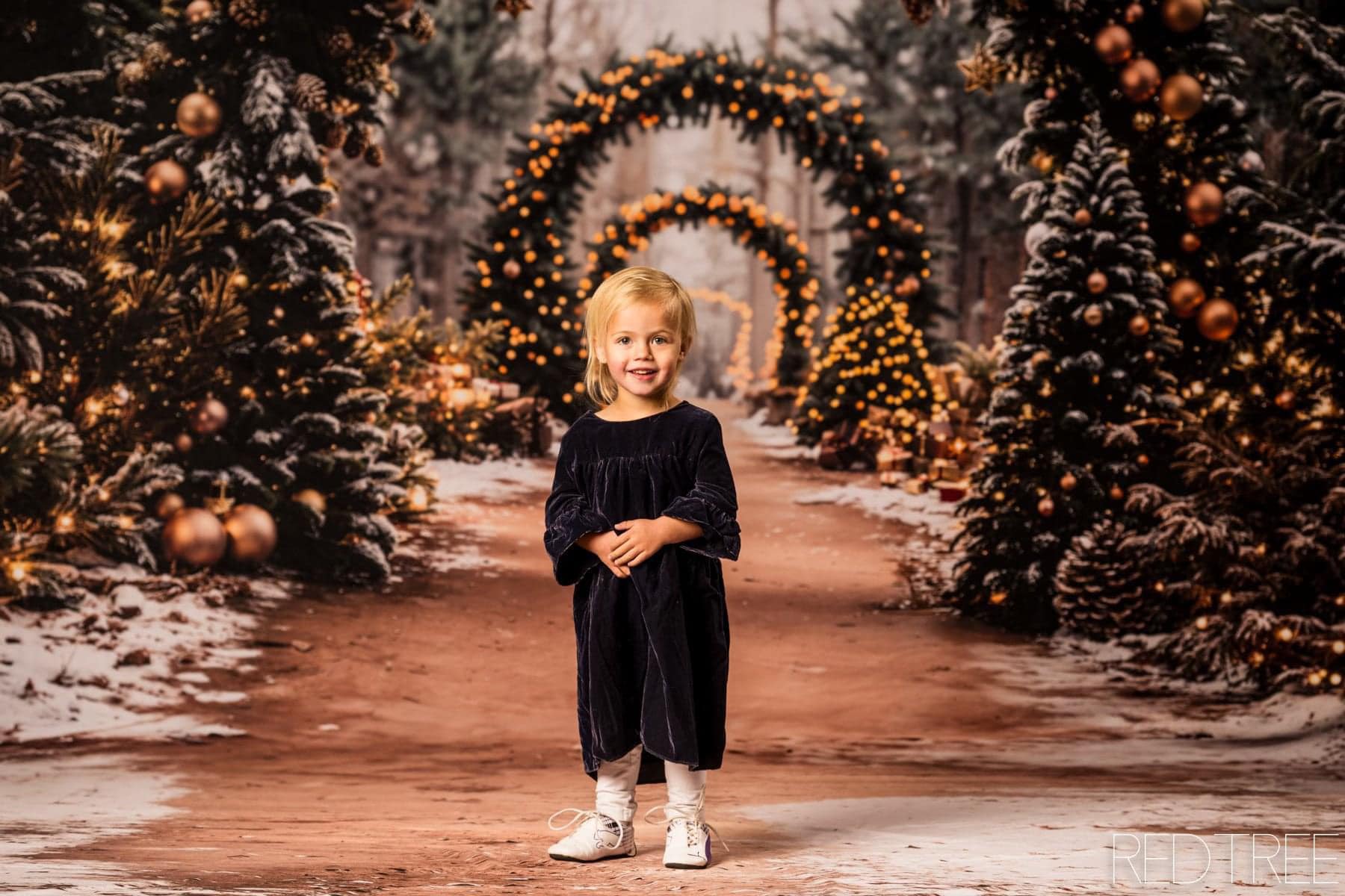 Kate Christmas Tree Archway Forest Backdrop+Winter Snowy Path Floor Backdrop - Kate Backdrop AU