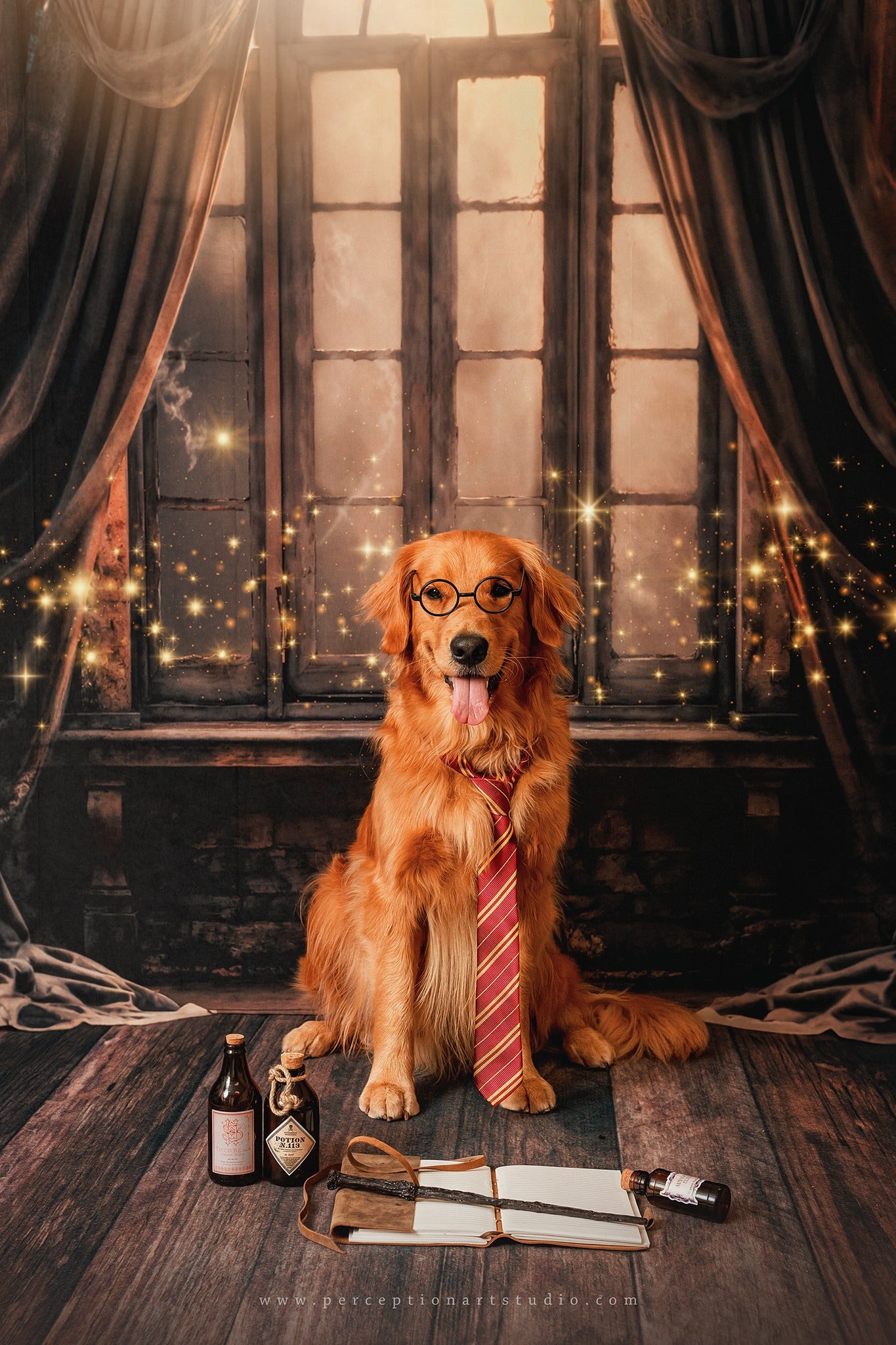 Kate Halloween Dark Stage Curtain Backdrop Designed by Emetselch - Kate Backdrop AU