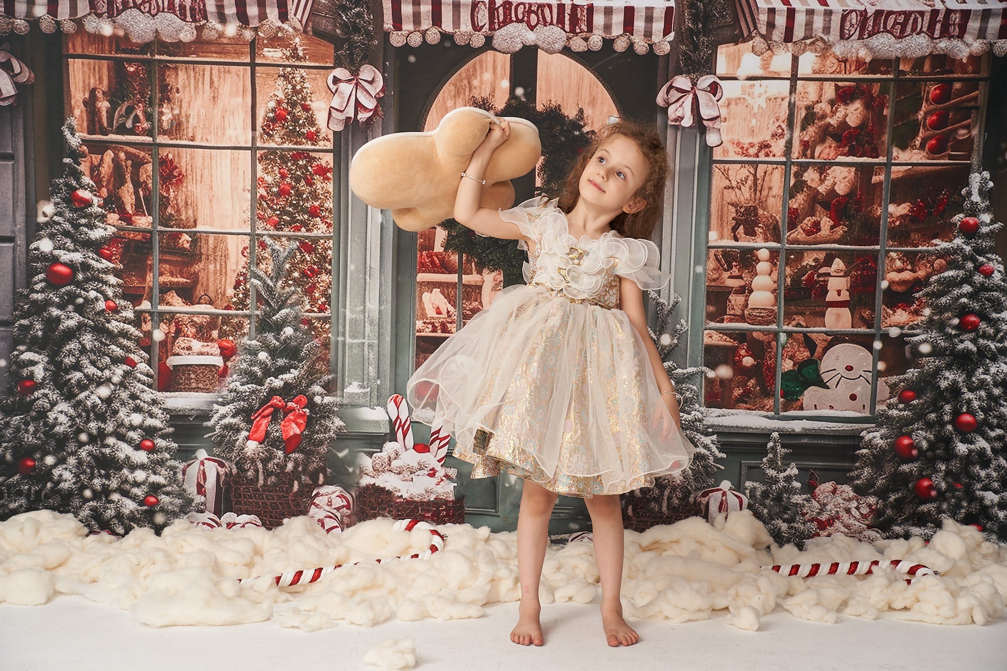 Kate Christmas Snow Cabin Backdrop for Photography - Kate Backdrop AU