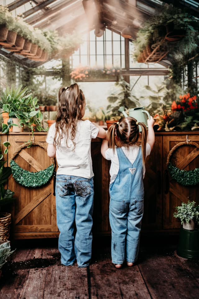 Kate Spring Greenhouse Backdrop Designed by Abbas Studio - Kate Backdrop AU