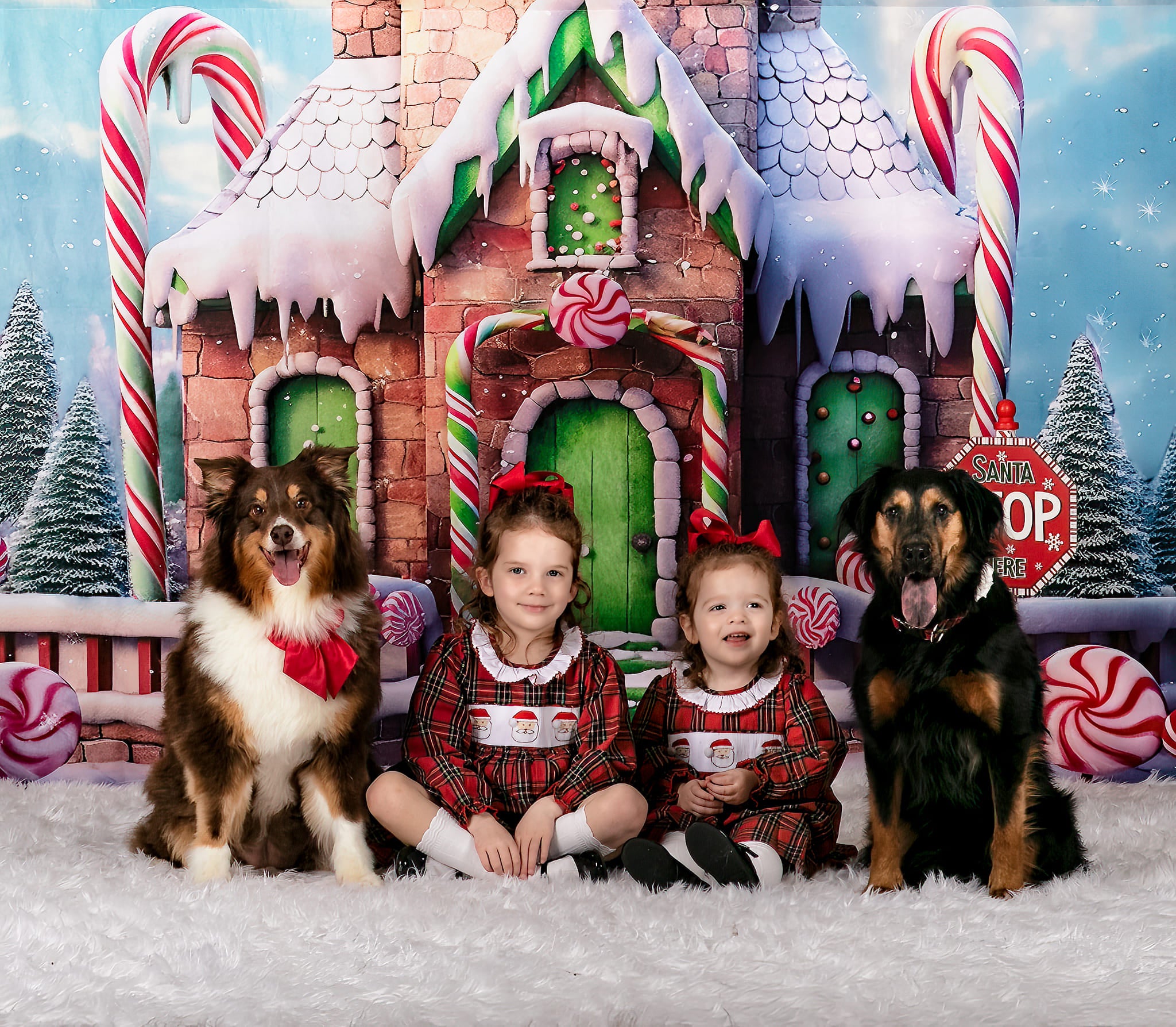 Kate Snow Candy Christmas House Backdrop Designed by Emetselch - Kate Backdrop AU