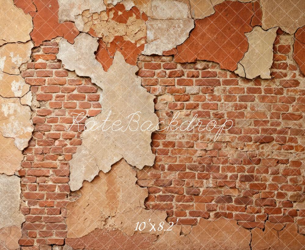 Kate Vintage Wall Exposed Brick Backdrop Designed by Mini MakeBelieve