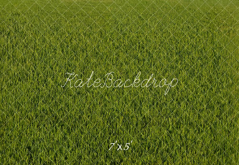Kate Green Grass Texture Backdrop Designed by Emetselch