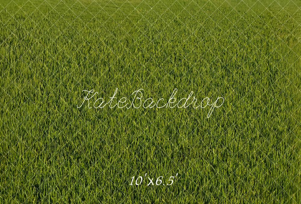 Kate Green Grass Texture Backdrop Designed by Emetselch