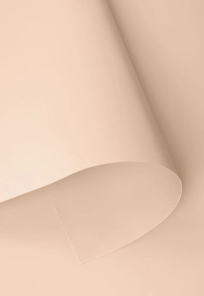 Kate Ivory Beige Seamless Paper Backdrop for Photography - Kate Backdrop AU