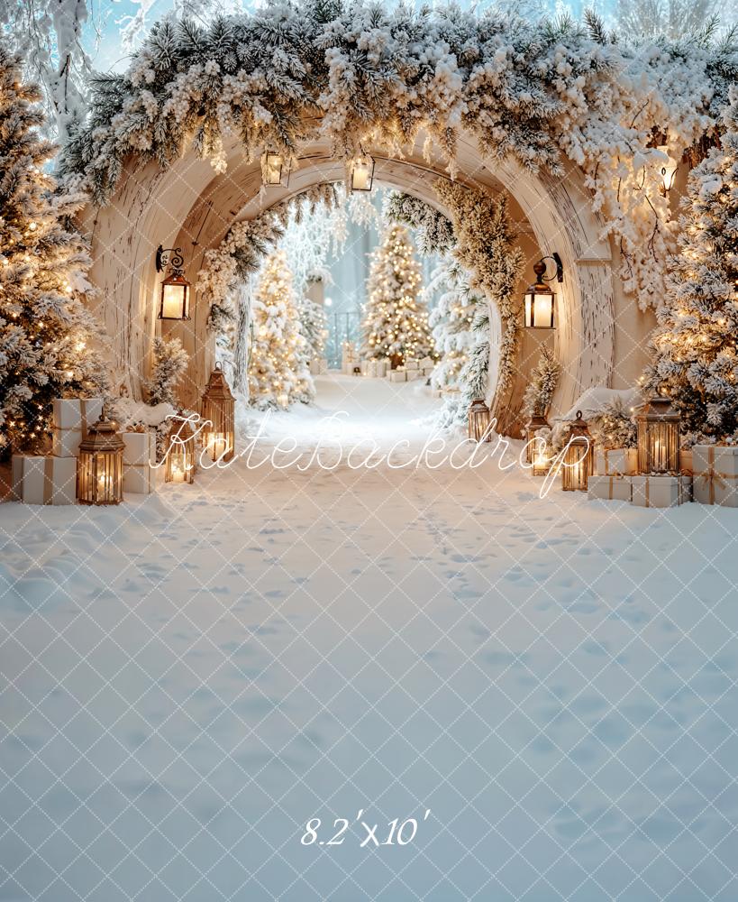 Kate Christmas Snowy Arch Fleece Backdrop Designed by Emetselch - Kate Backdrop AU