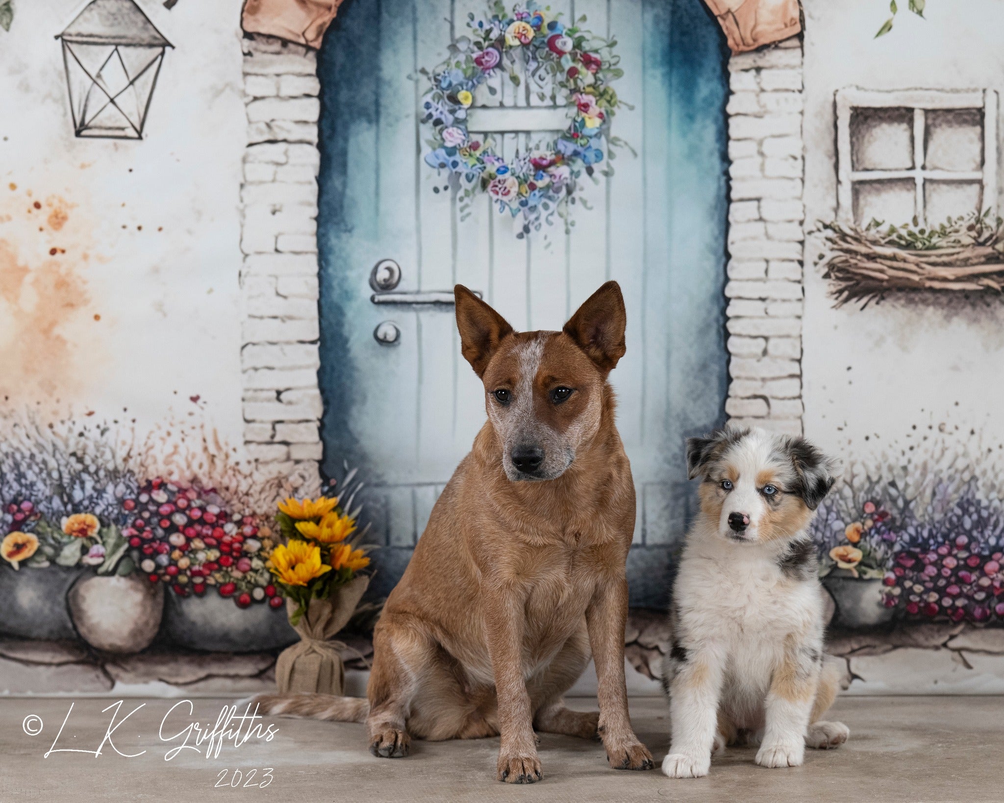 Kate Blooming Brick Wall Backdrop Designed by Patty Robertss - Kate Backdrop AU