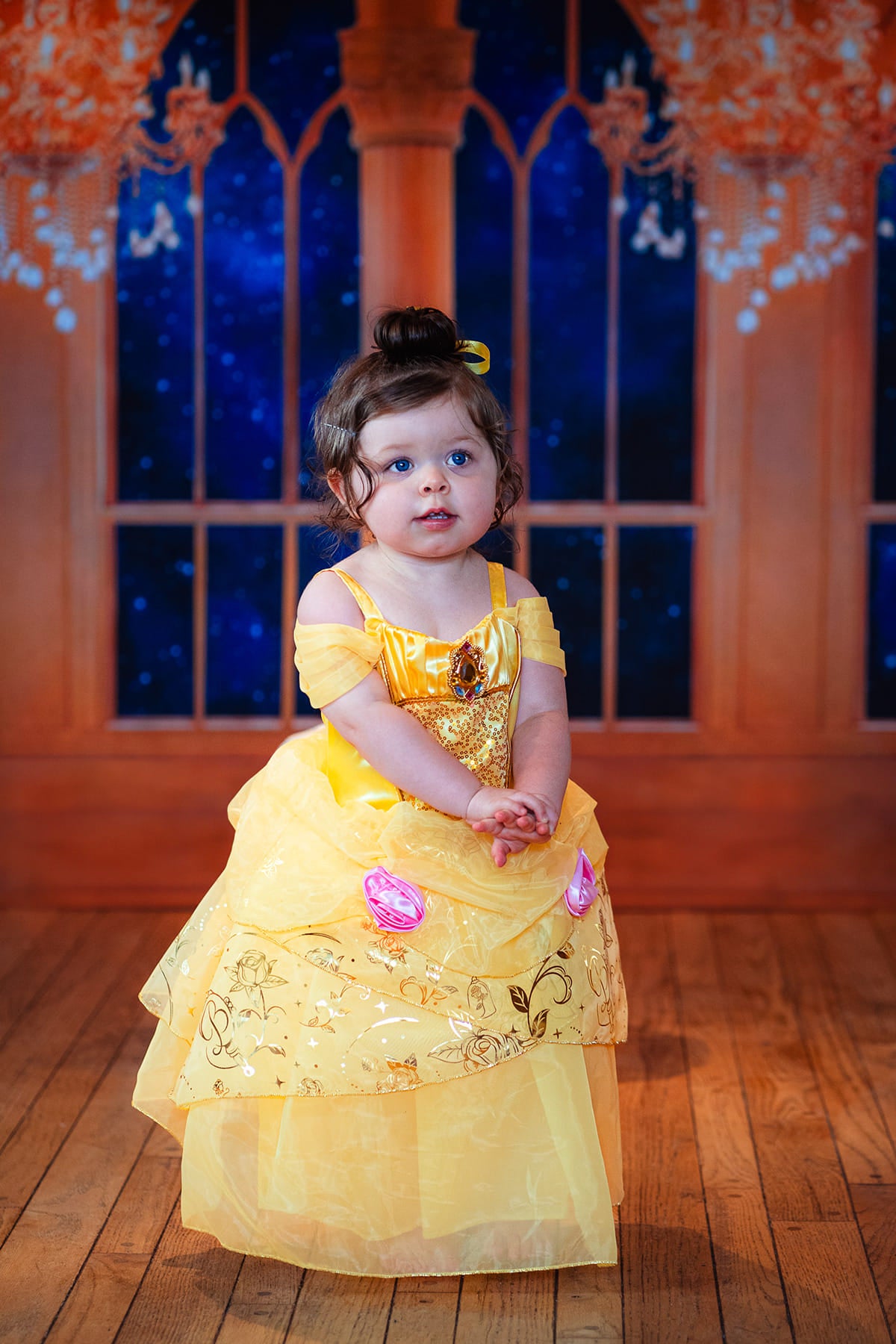 Kate Beauty and the Beast Window Chandelier Backdrop Designed By Jerry_Sina - Kate Backdrop AU