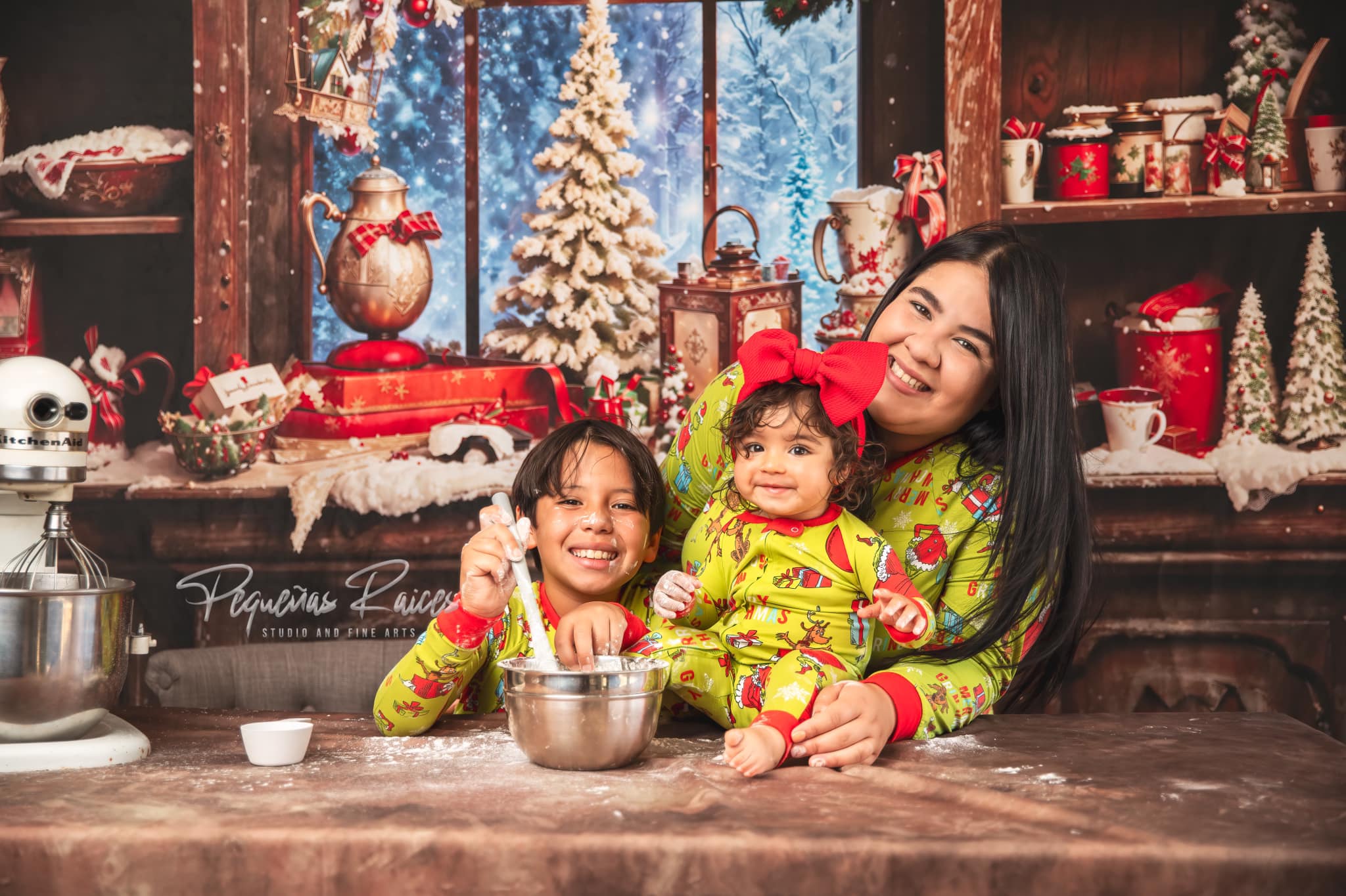 Kate Christmas Red Brown Kitchen Snow Window Room Set(8ftx8ft&10ftx8ft&8ftx10ft) - Kate Backdrop AU