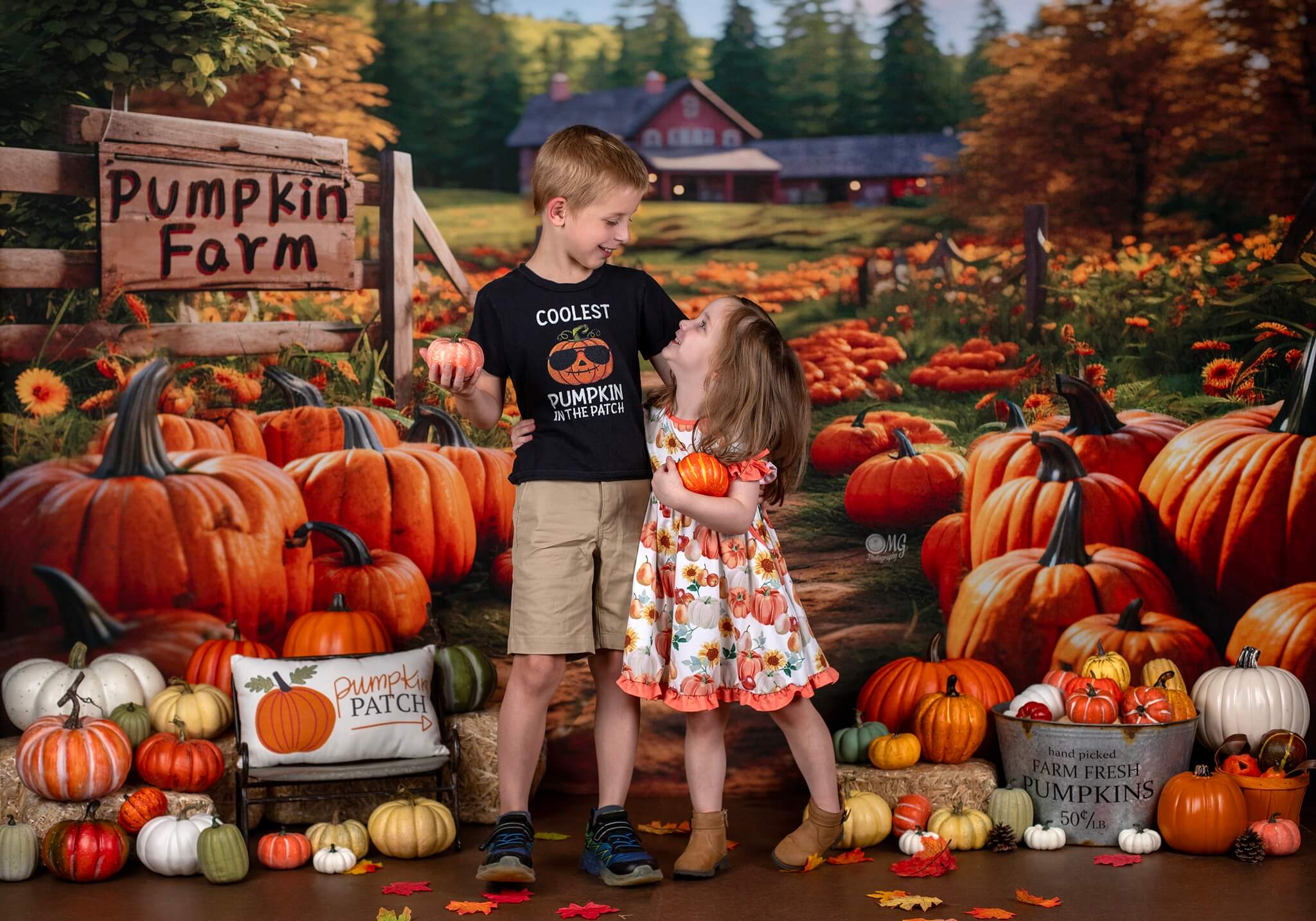 Kate Autumn Pumpkin Farm Backdrop Designed by Emetselch - Kate Backdrop AU