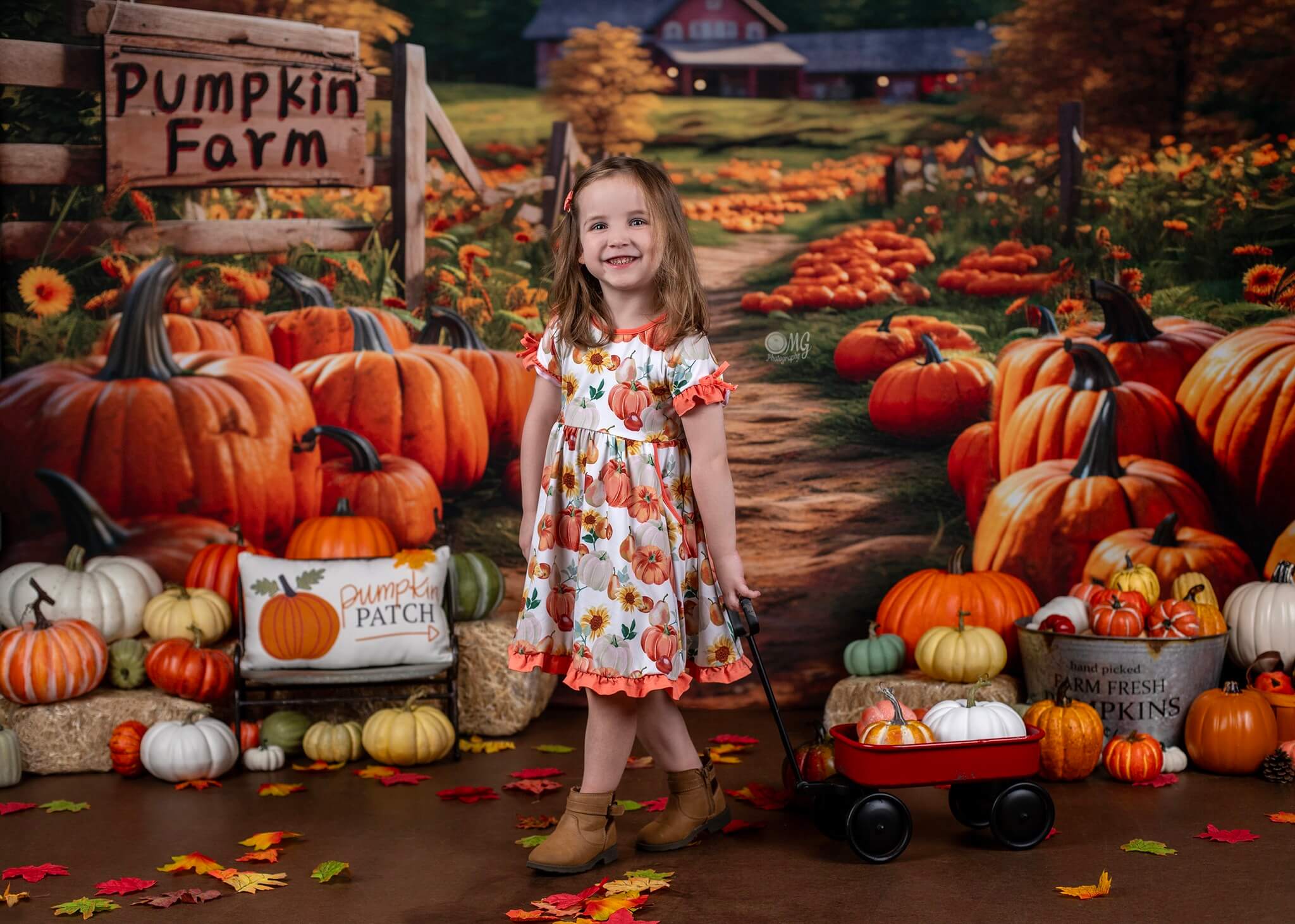 Kate Autumn Pumpkin Farm Backdrop Designed by Emetselch - Kate Backdrop AU