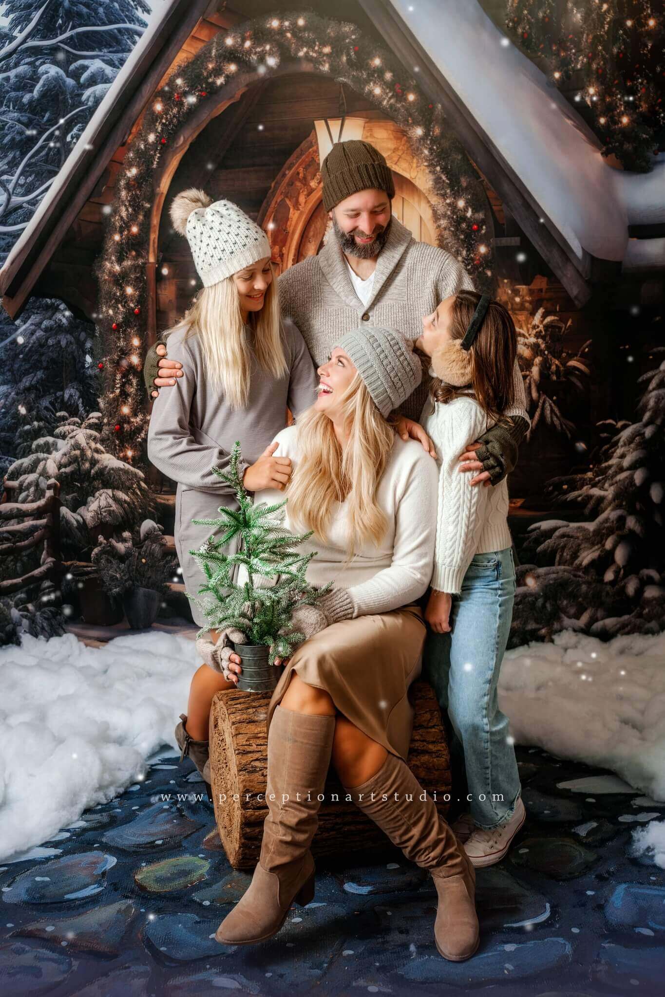 Kate Christmas Wooden House Backdrop Designed by Chain Photography - Kate Backdrop AU