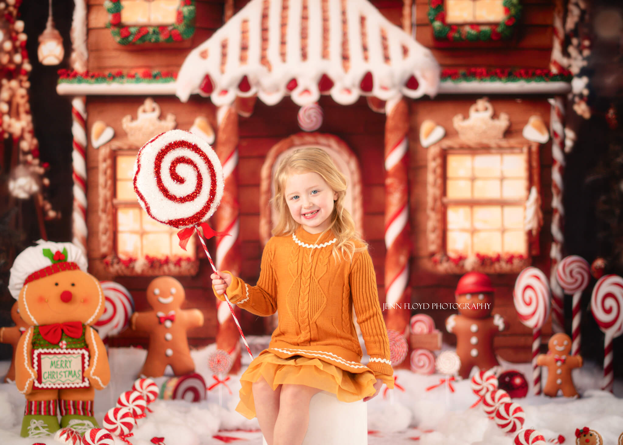 Kate Christmas Gingerbread House Backdrop Designed by Chain Photography - Kate Backdrop AU