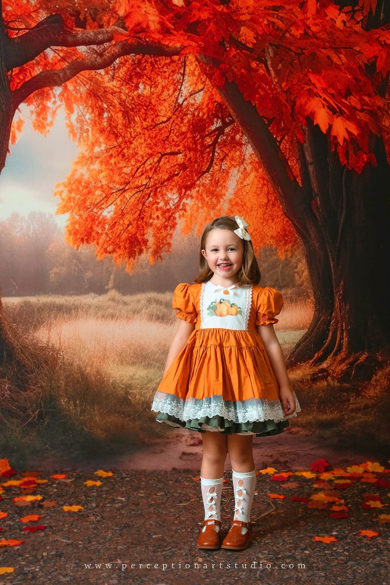 Kate Autumn/Fall Tree Backdrop for Photography