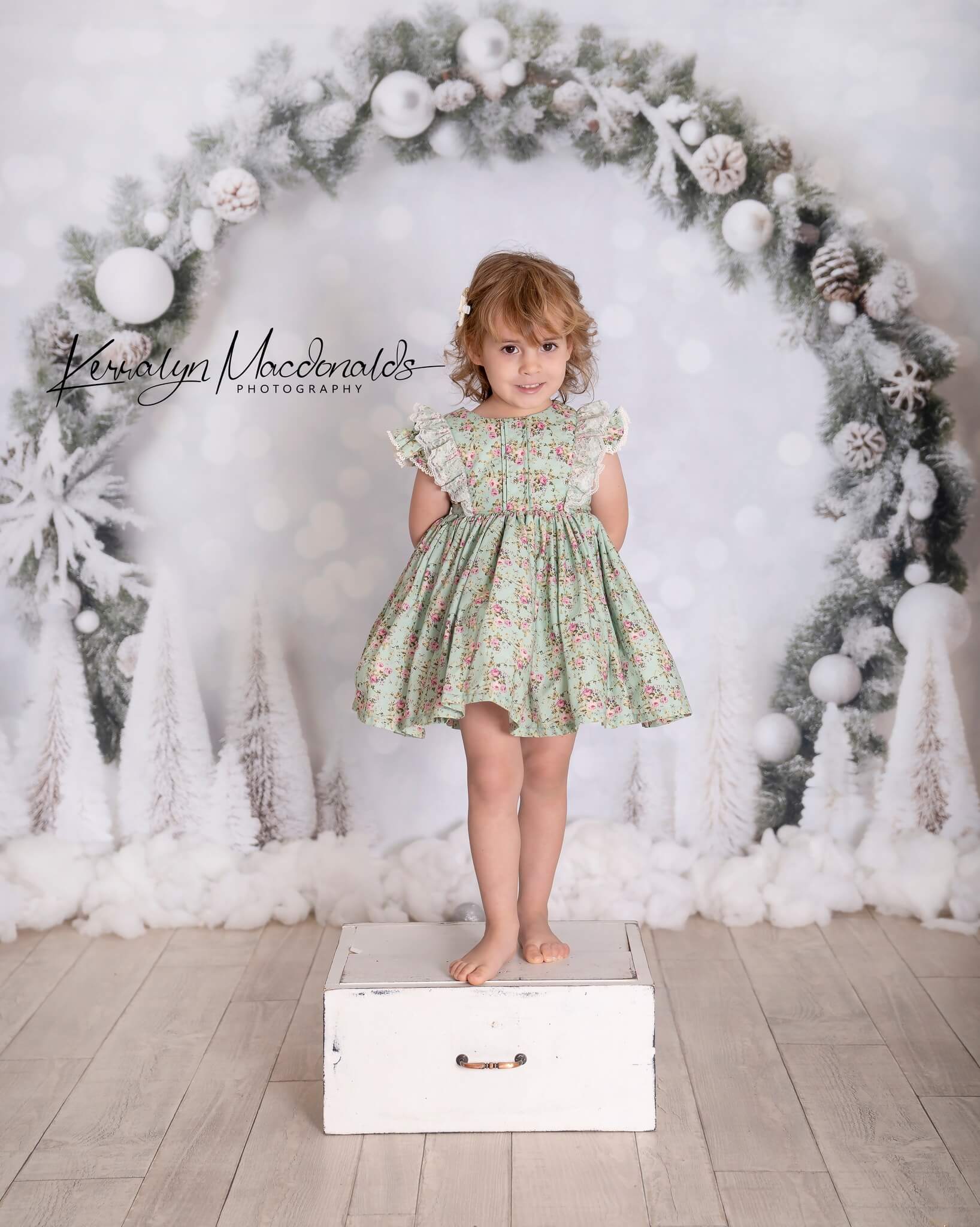 Kate Winter Christmas Arch Backdrop for Photography - Kate Backdrop AU
