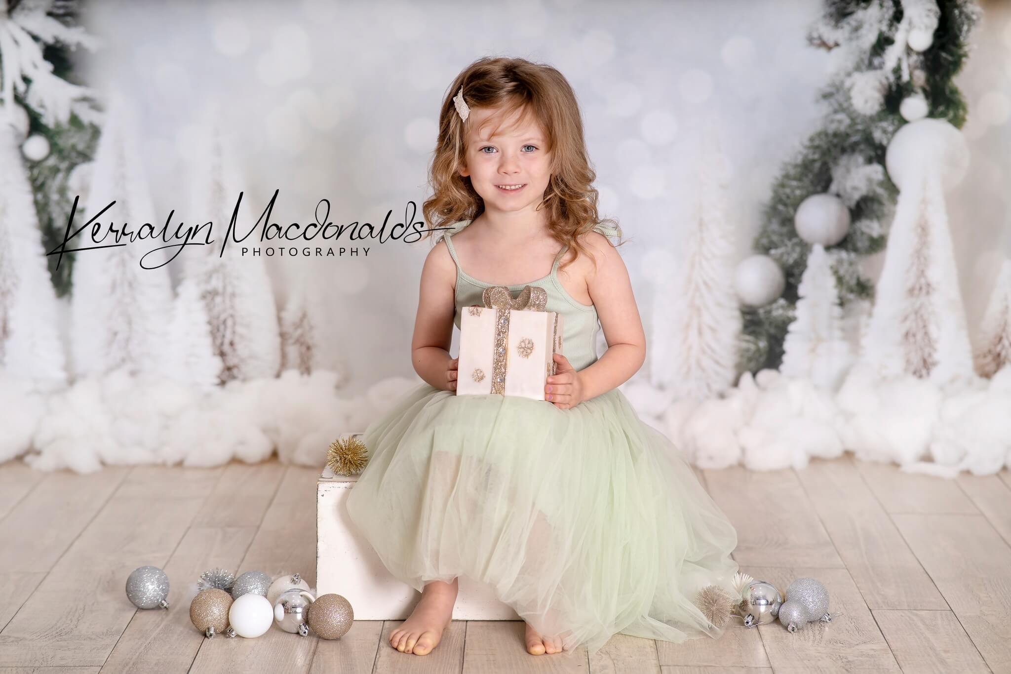 Kate Winter Christmas Arch Backdrop for Photography - Kate Backdrop AU