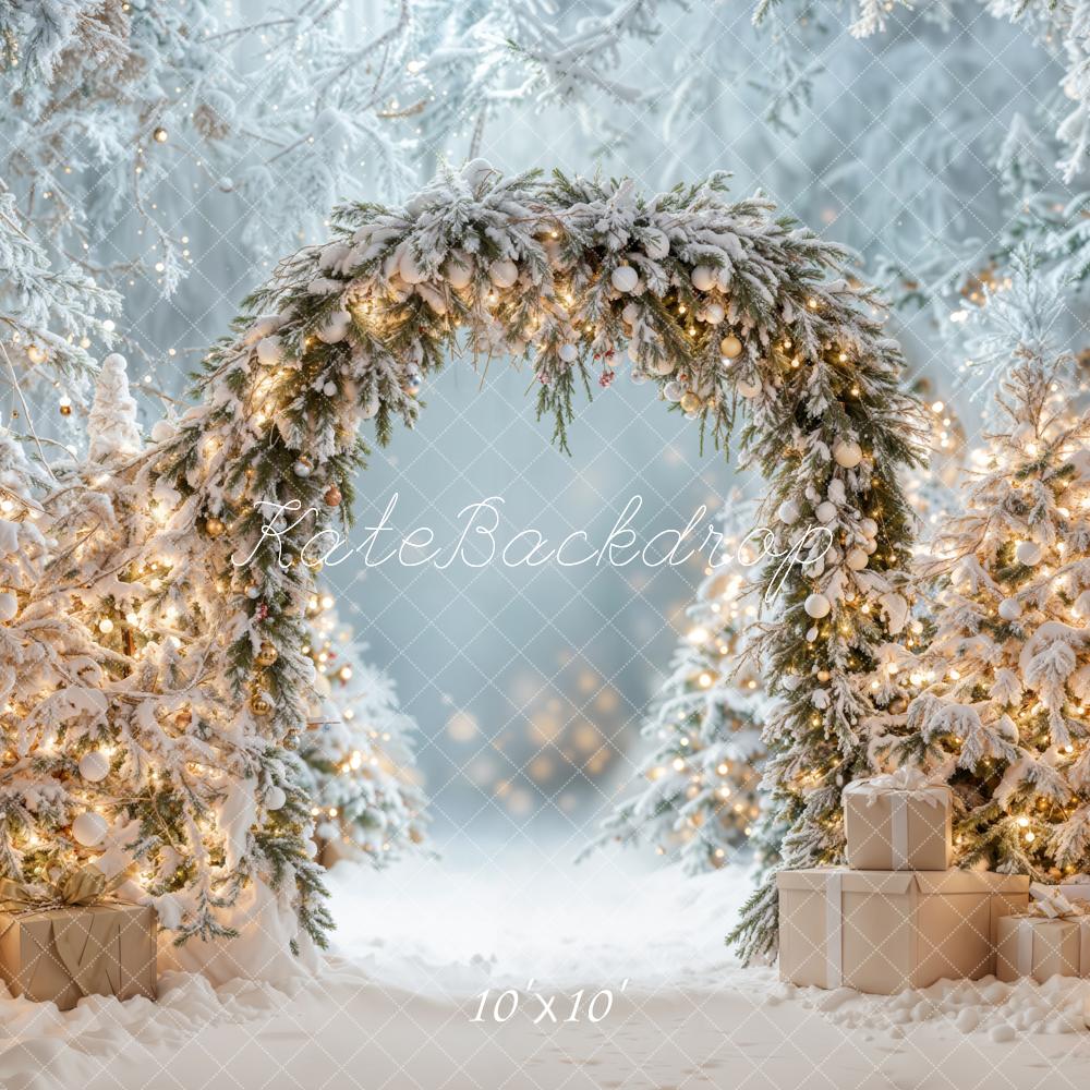 Kate Christmas Snowy Arch Winter Backdrop Designed by Emetselch - Kate Backdrop AU