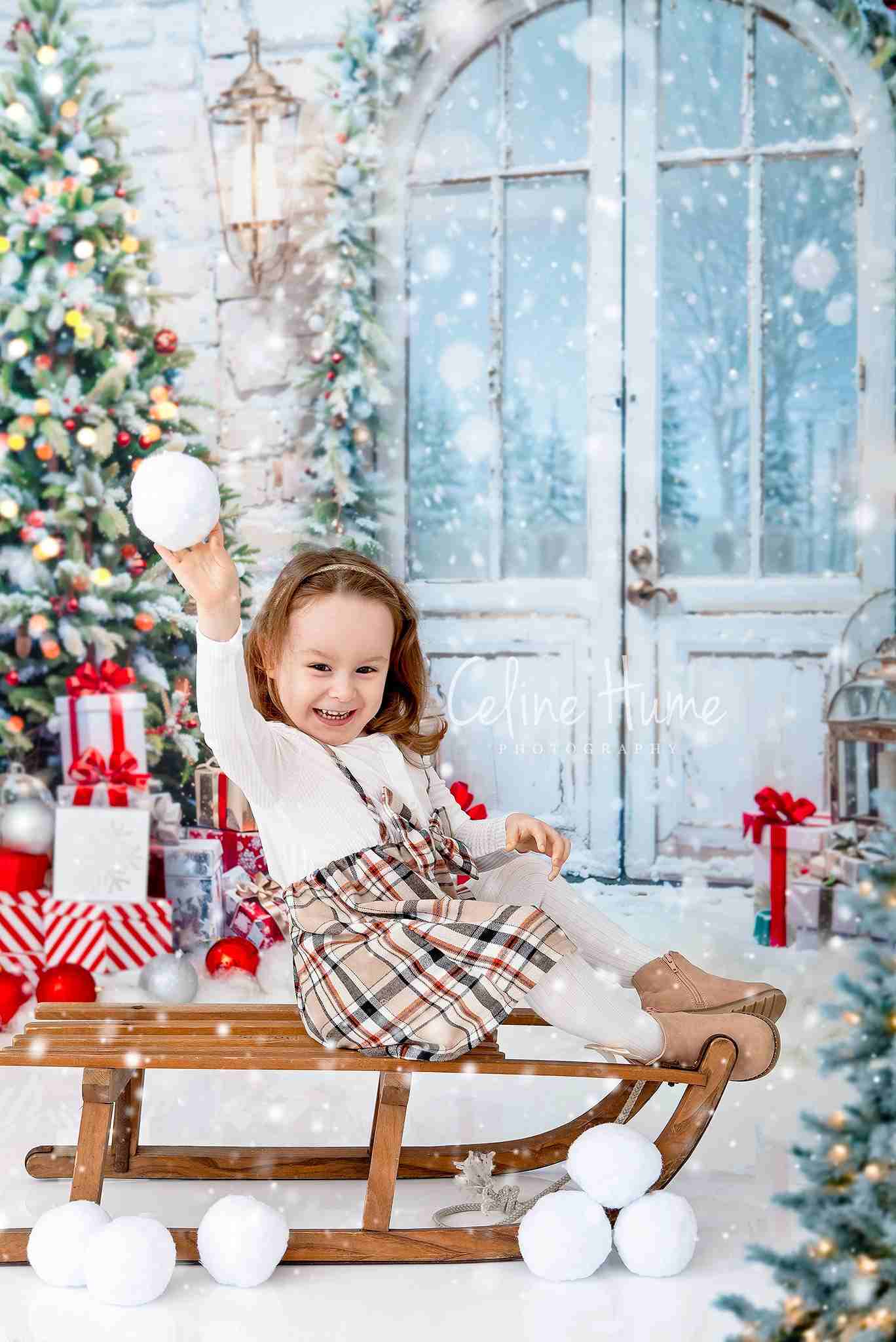 Kate Christmas Tree Gift Door Backdrop Designed by Emetselch - Kate Backdrop AU