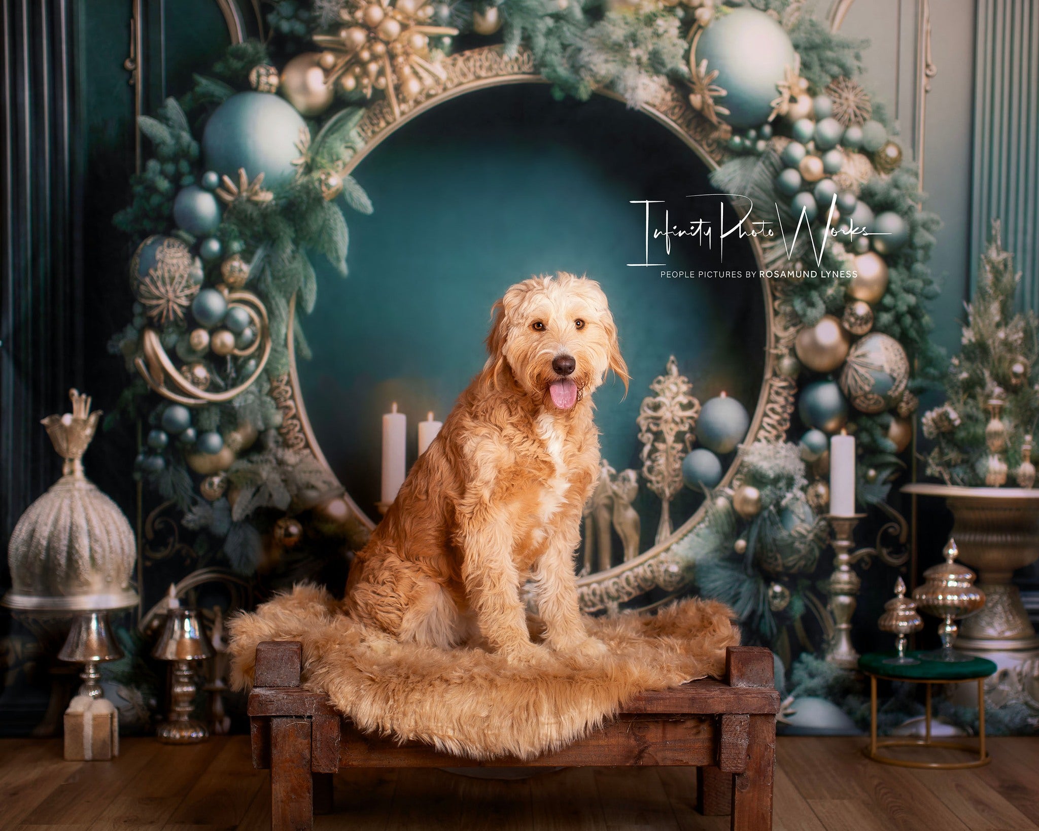 Kate Vintage Green Wall Circle Backdrop Designed by Emetselch - Kate Backdrop AU