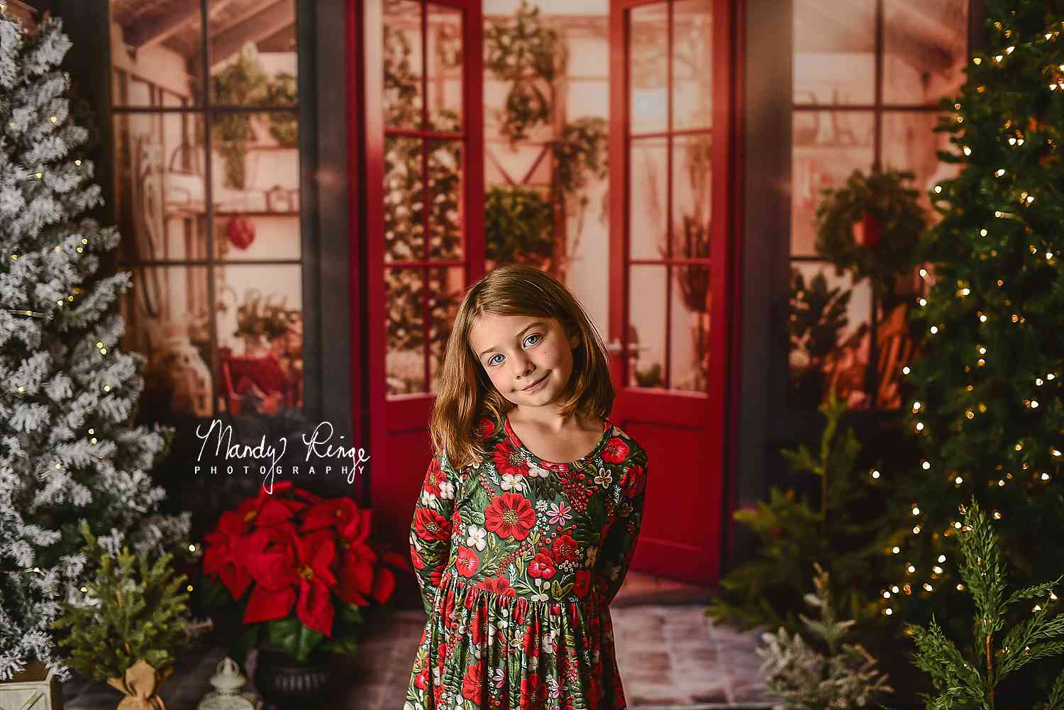 Kate Christmas Holiday Greenhouse Red Backdrop Designed by Mandy Ringe Photography - Kate Backdrop AU