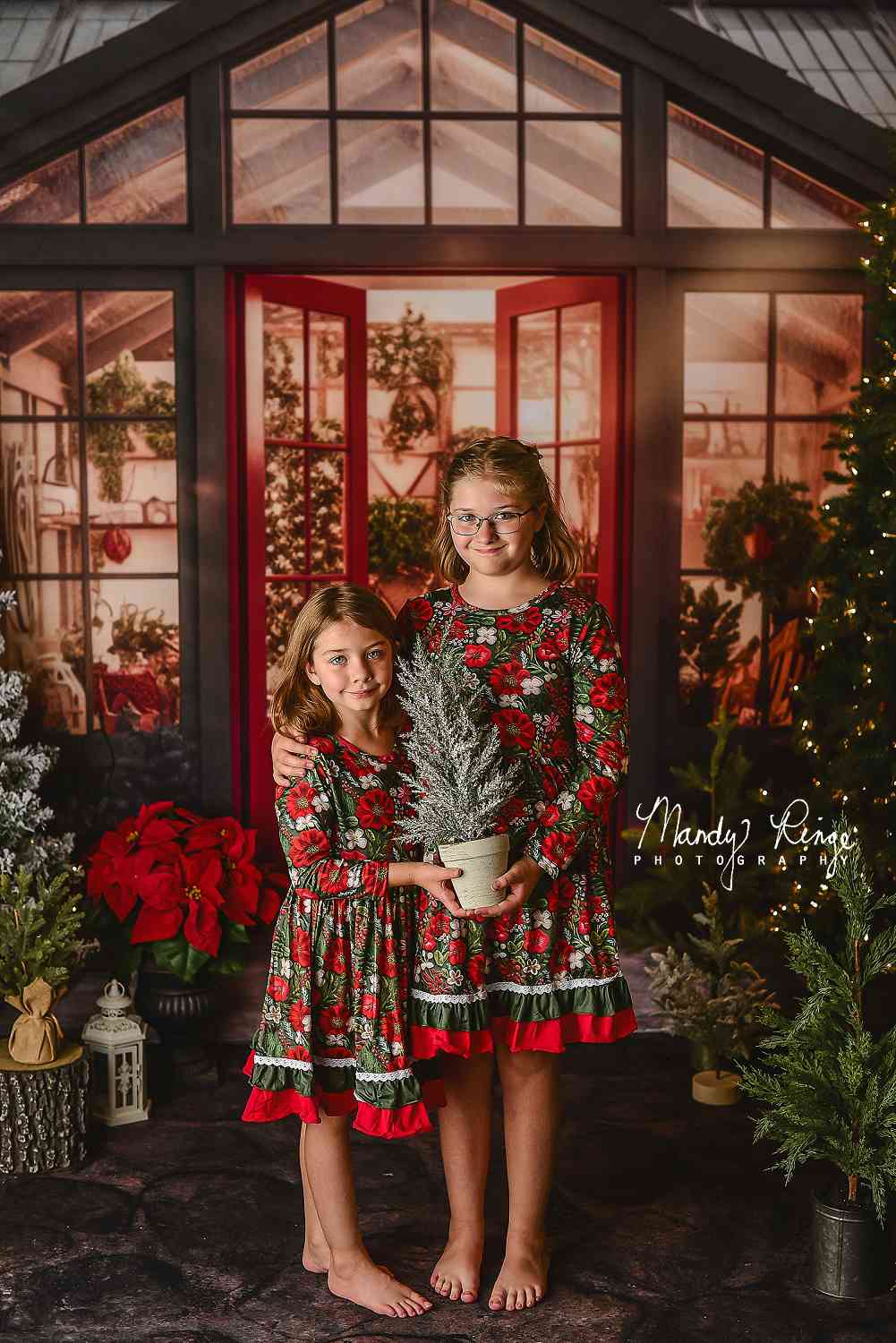 Kate Christmas Holiday Greenhouse Red Backdrop Designed by Mandy Ringe Photography - Kate Backdrop AU