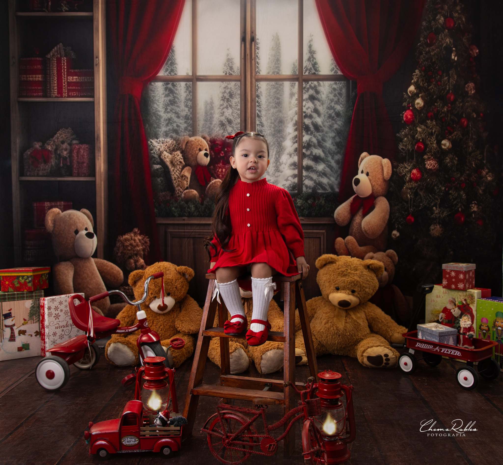 Kate Bear Room Winter Backdrop Designed by Chain Photography - Kate Backdrop AU