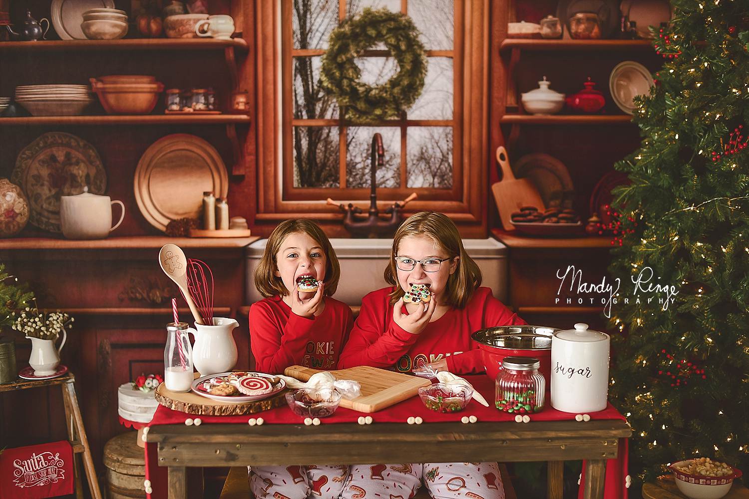 Kate Cozy Christmas Kitchen Backdrop Designed by Mandy Ringe Photography - Kate Backdrop AU