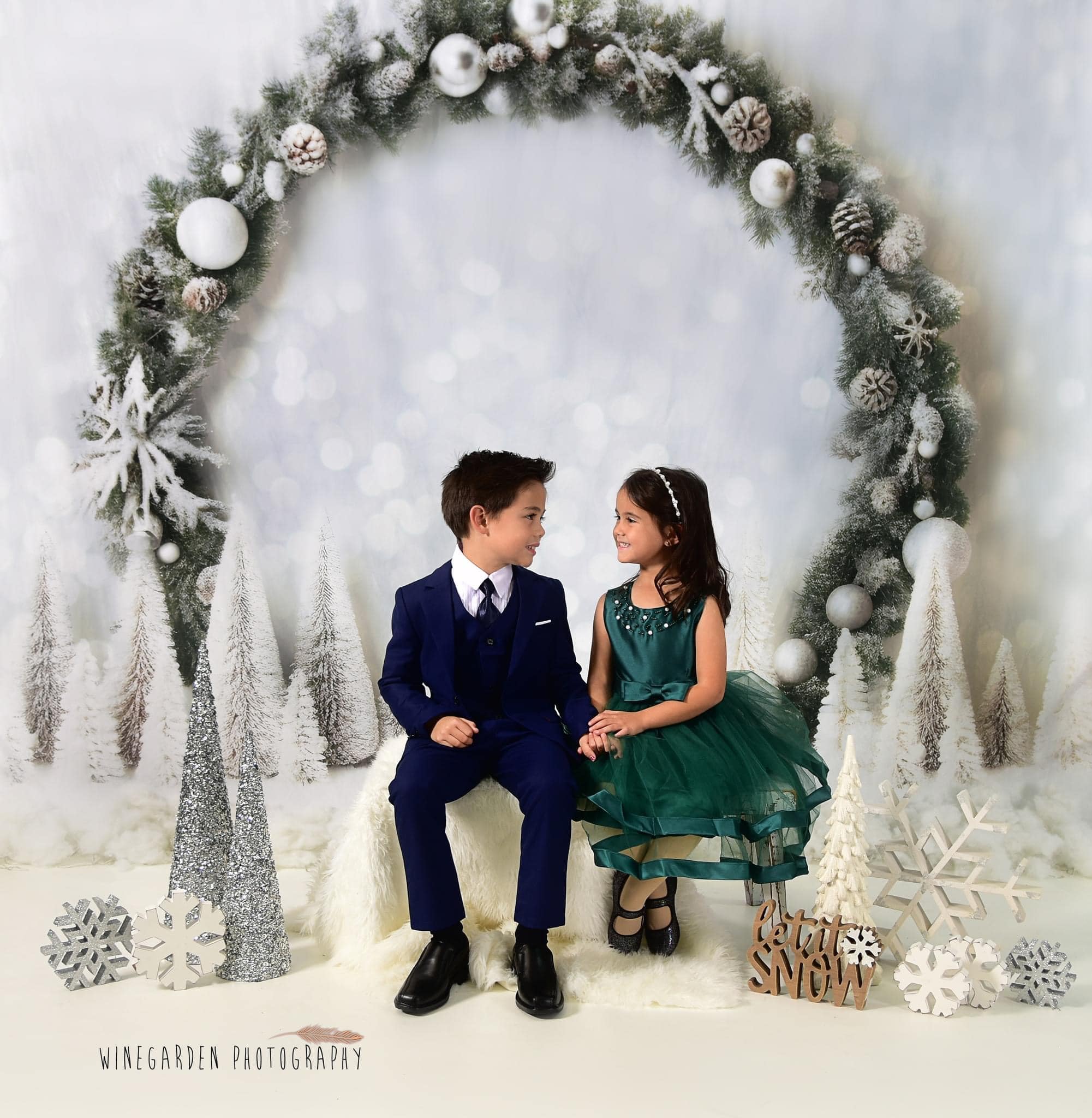 Kate Winter Christmas Arch Backdrop for Photography