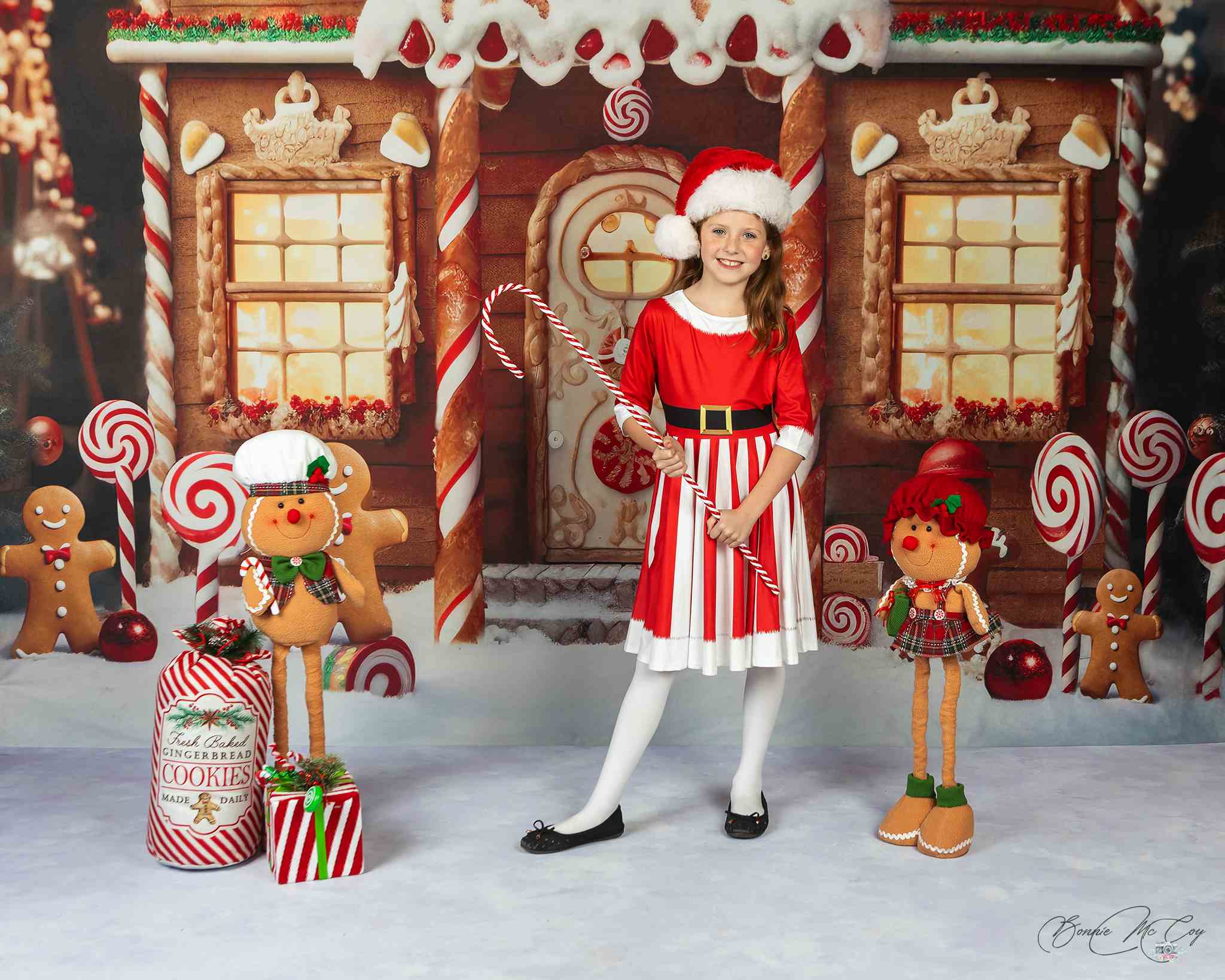 Kate Christmas Gingerbread House Backdrop Designed by Chain Photography - Kate Backdrop AU