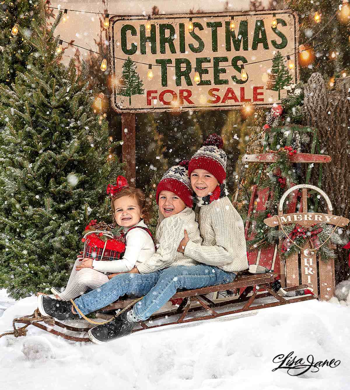 Kate Christmas Tree Backdrop for Photography - Kate Backdrop AU