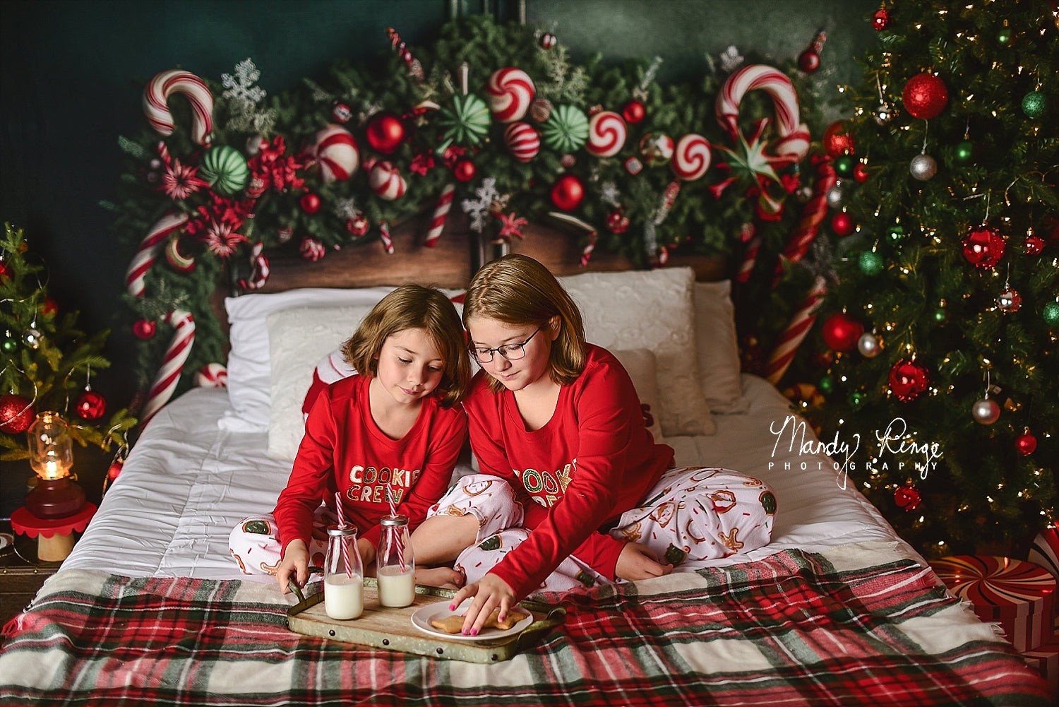 Kate Green Christmas Headboard Backdrop Candy Cane Designed by Mandy Ringe Photography - Kate Backdrop AU