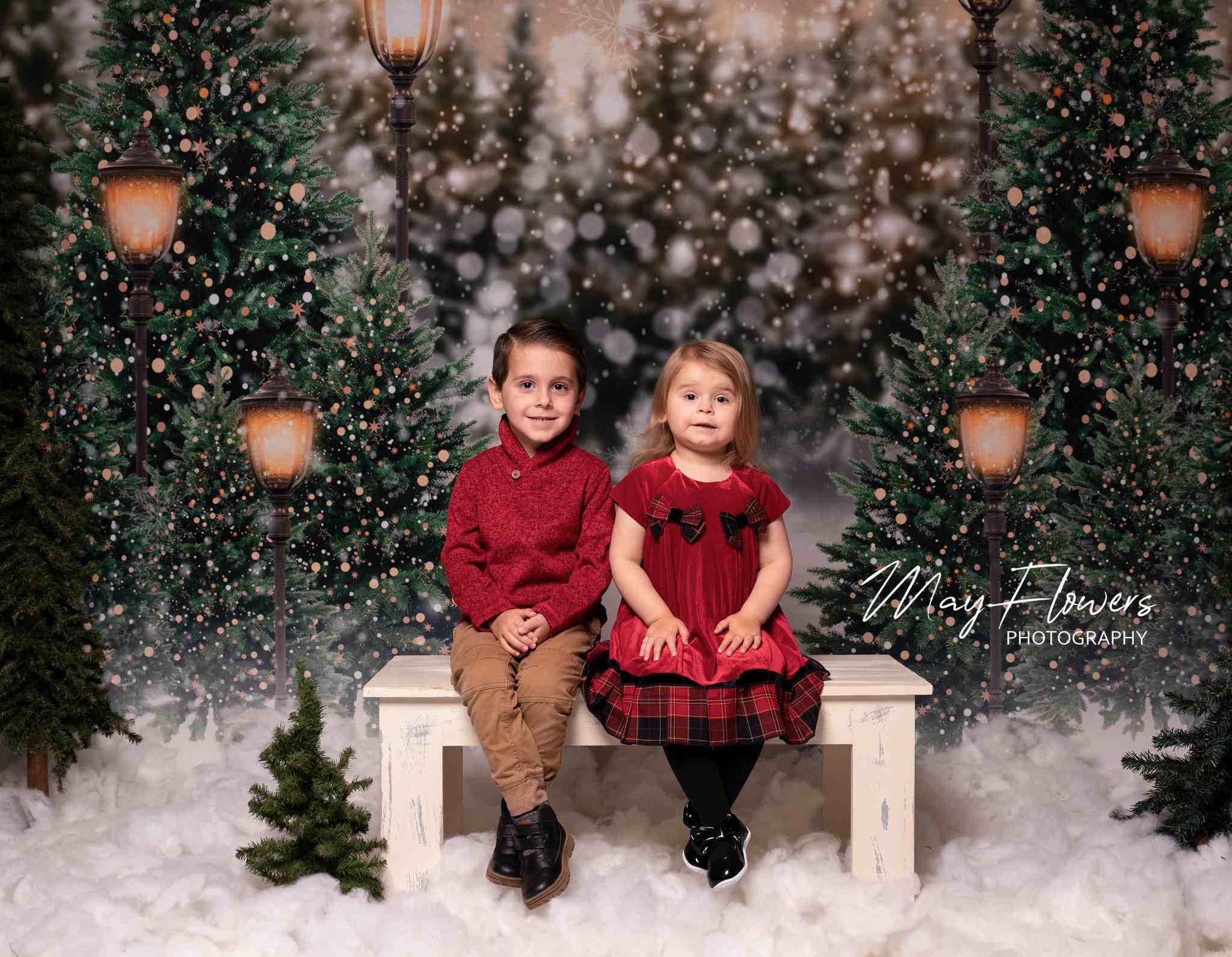 Kate Christmas Snow Forest Lights Backdrop for Photography - Kate Backdrop AU
