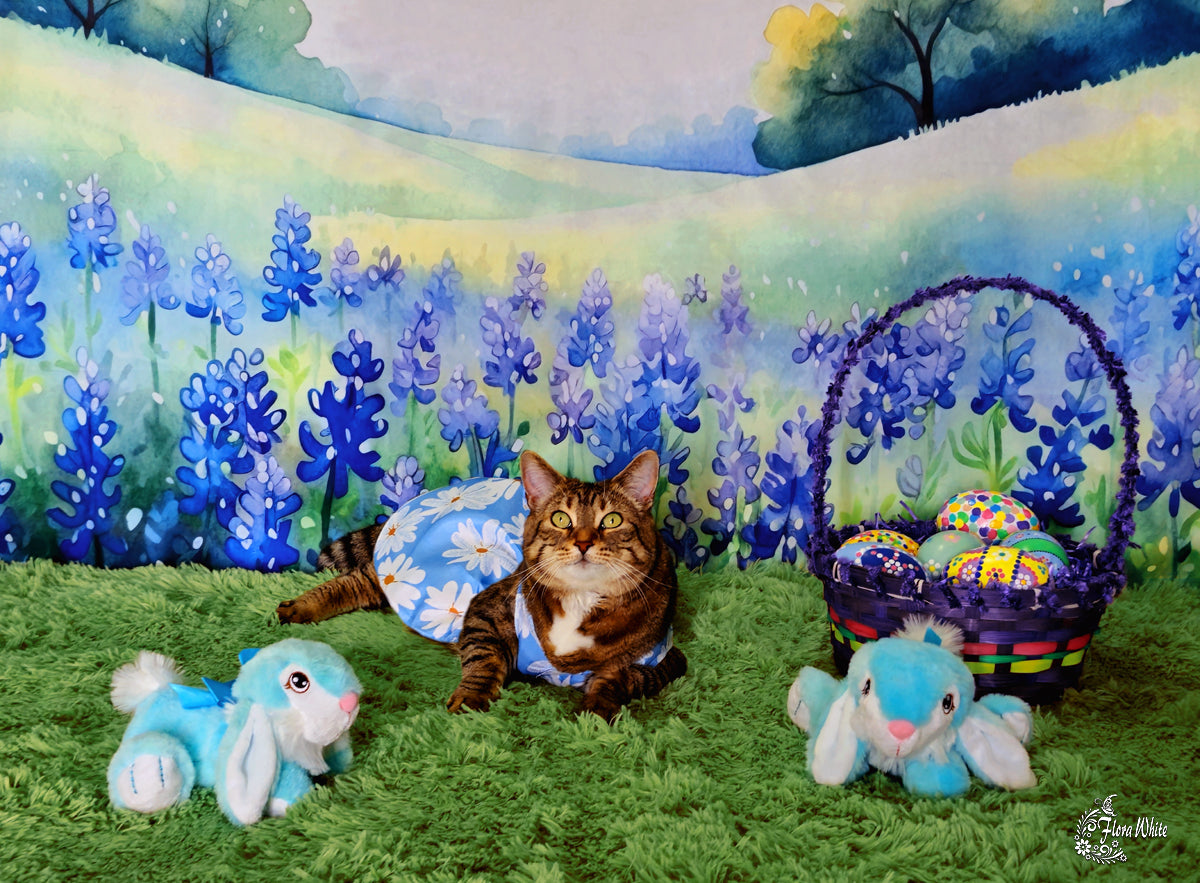Kate Blossoming Bluebonnets Backdrop Designed by Patty Robertss - Kate Backdrop AU