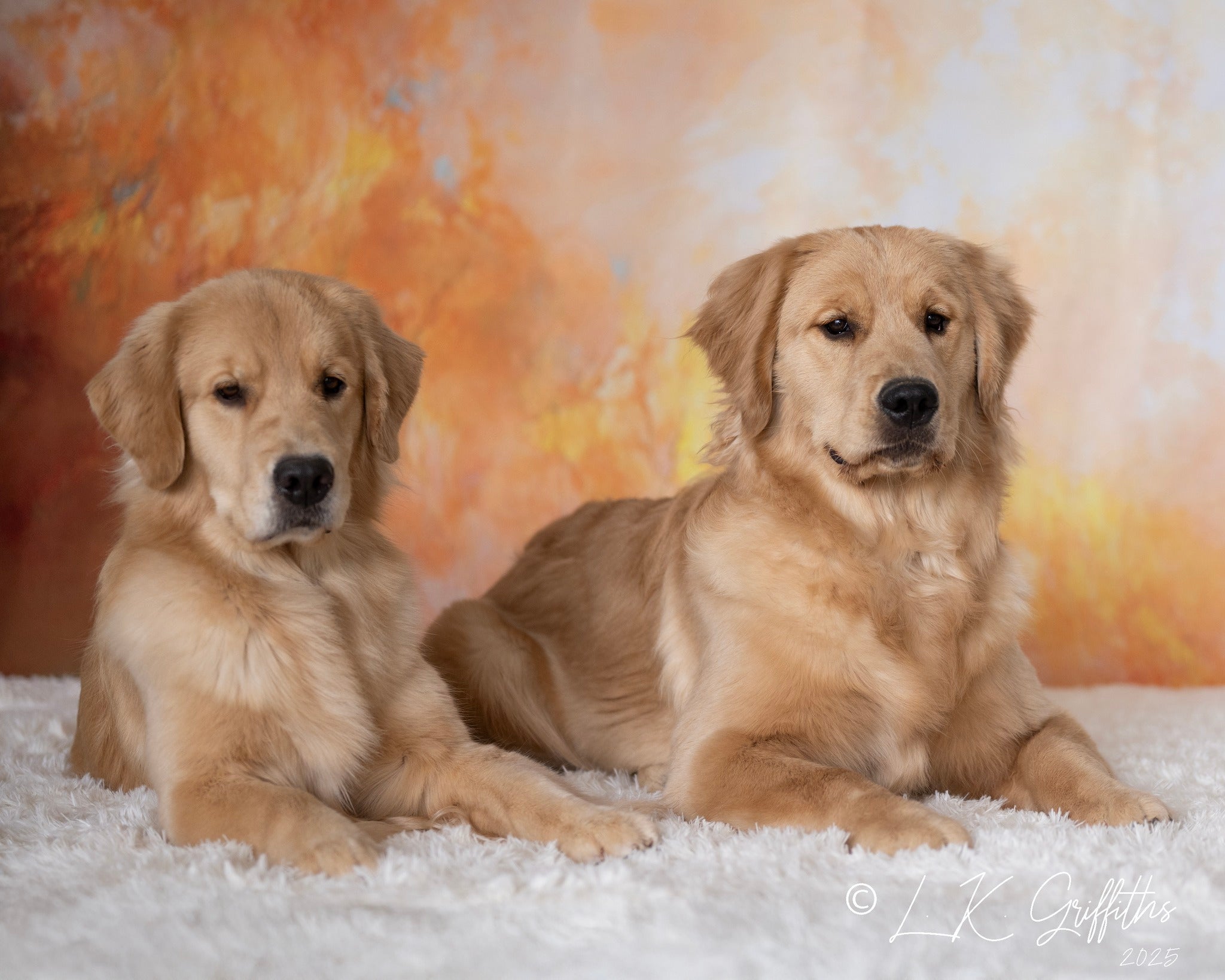 Kate Abstract Texture Golden Backdrop Designed by Emetselch - Kate Backdrop AU