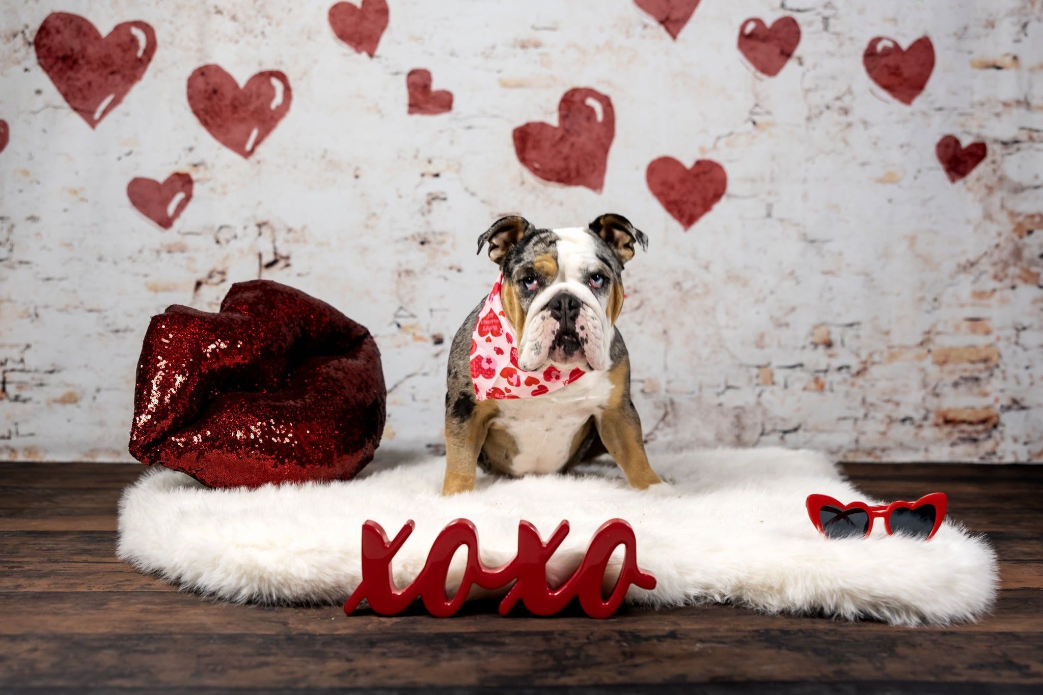Kate Valentine Hearts Vintage Backdrop Shabby Wall Designed by Kate Image - Kate Backdrop AU