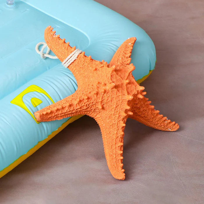 Kate Summer Beach Photo Kit - Kate Backdrop AU