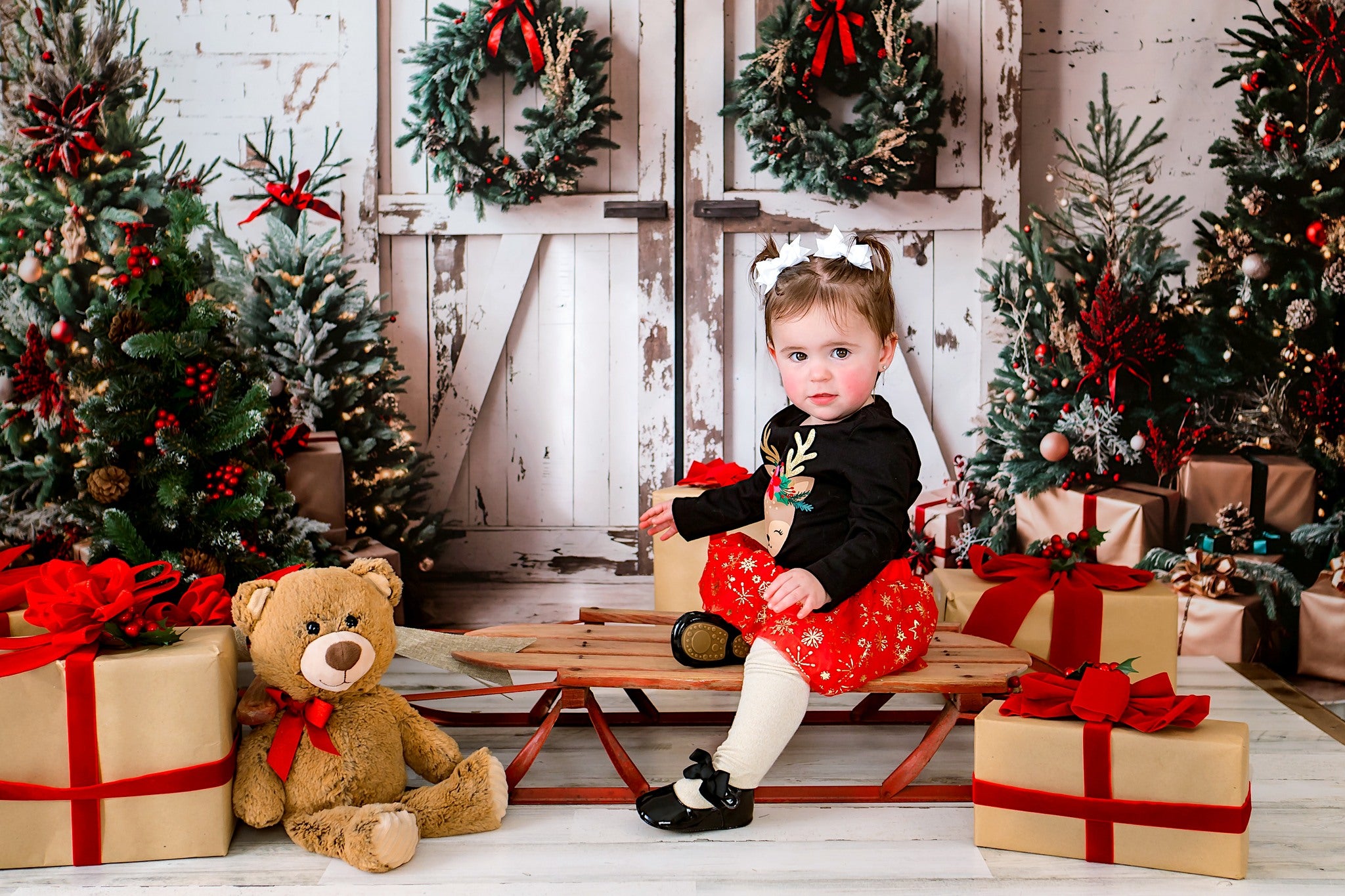 Kate Christmas Backdrop White Shabby Barn Door Designed by Emetselch