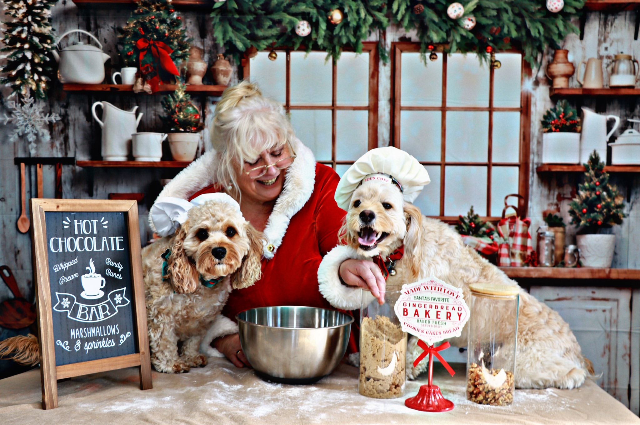 Kate Fleece Retro Christmas Kitchen Window Backdrop Designed by Emetselch - Kate Backdrop AU