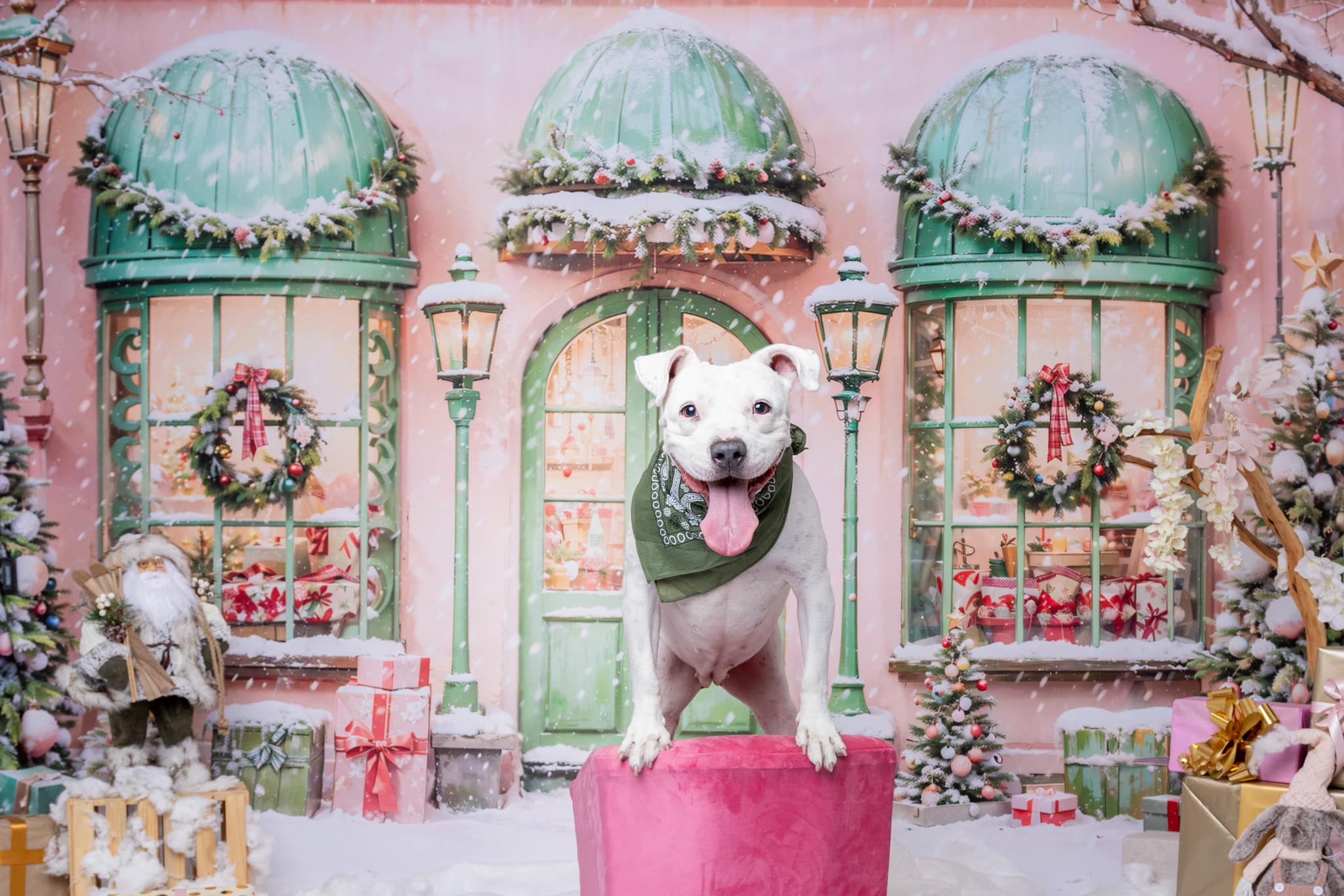 Kate Snow Christmas Tree Holiday Shop Backdrop Designed by Chain Photography - Kate Backdrop AU