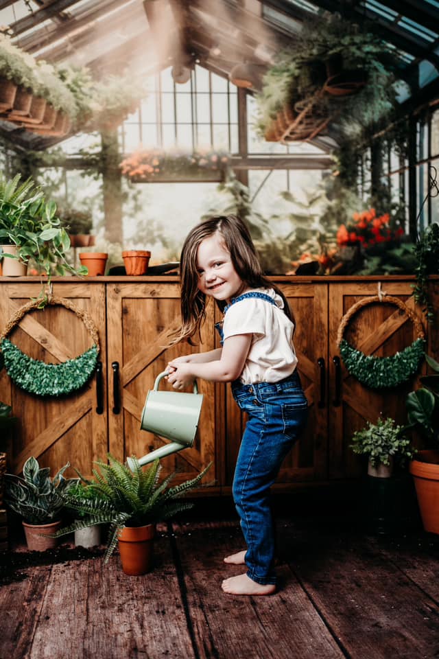 Kate Spring Greenhouse Backdrop Designed by Abbas Studio - Kate Backdrop AU