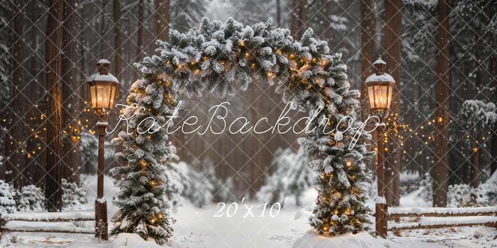 Kate Arch Snow Forest Winter Backdrop Designed by Emetselch - Kate Backdrop AU