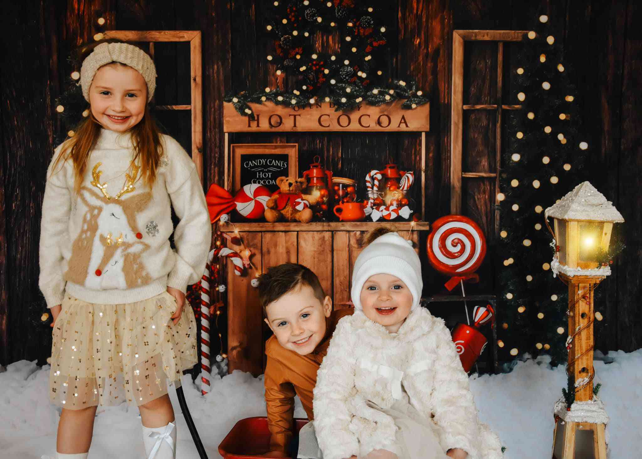 Kate Christmas Tree Backdrop Winter Hot Cocoa Designed by Emetselch - Kate Backdrop AU