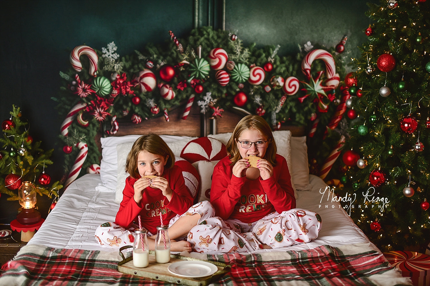 Kate Green Christmas Headboard Backdrop Candy Cane Designed by Mandy Ringe Photography - Kate Backdrop AU