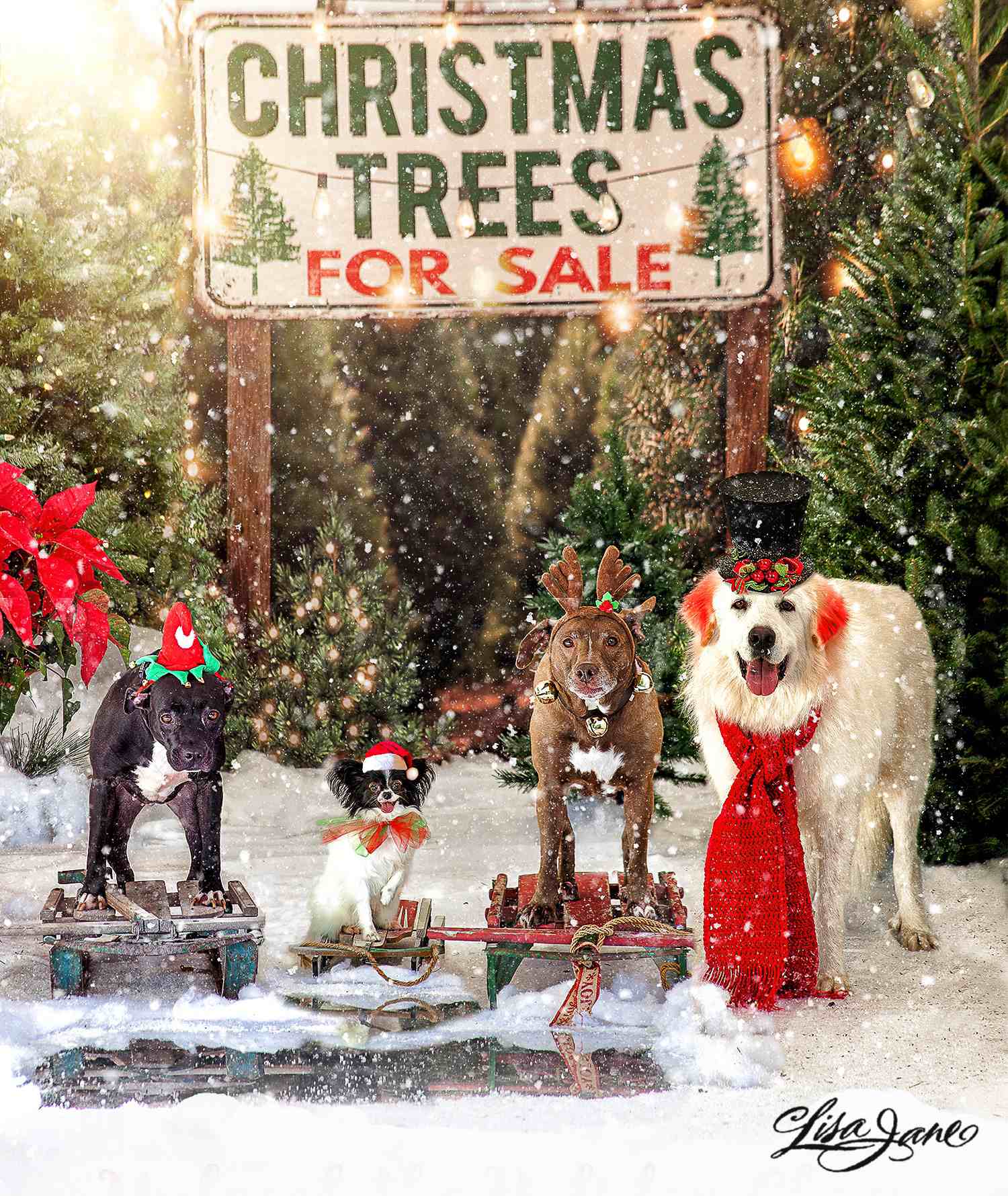 Kate Christmas Tree Backdrop for Photography - Kate Backdrop AU