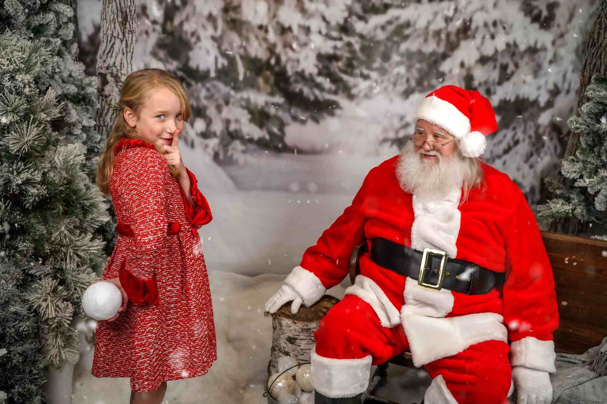 Kate Winter Forest Snow Backdrop Designed by Arica Kirby - Kate Backdrop AU