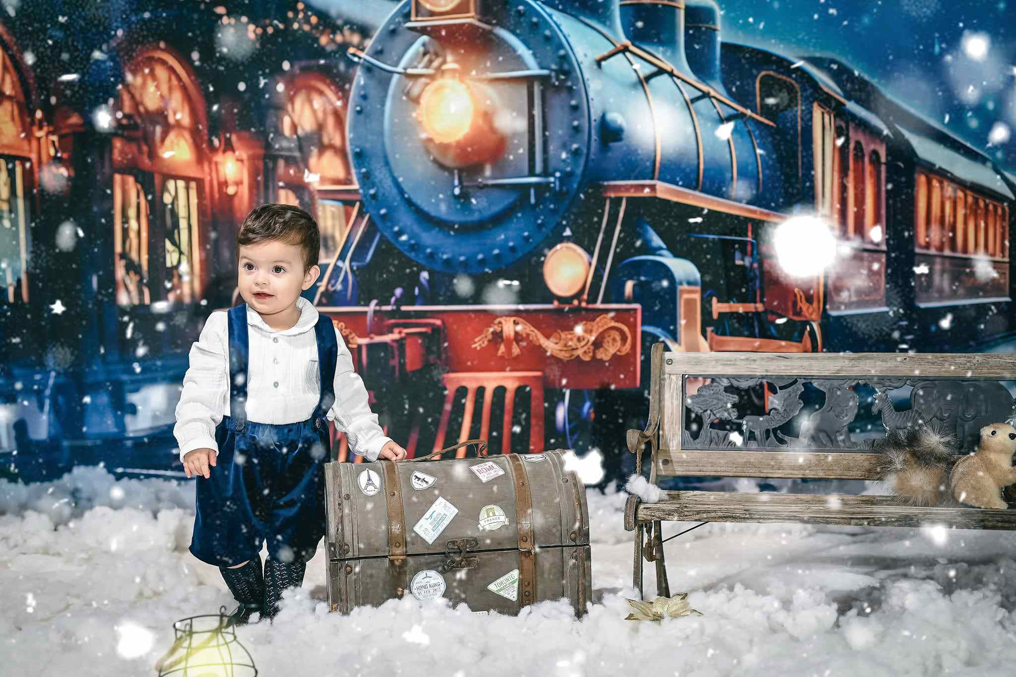 Kate Christmas Winter Train Backdrop for Photography - Kate Backdrop AU