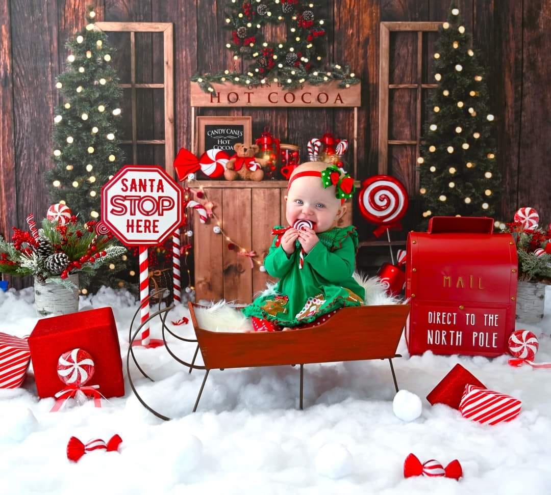 Kate Christmas Tree Backdrop Winter Hot Cocoa Designed by Emetselch - Kate Backdrop AU