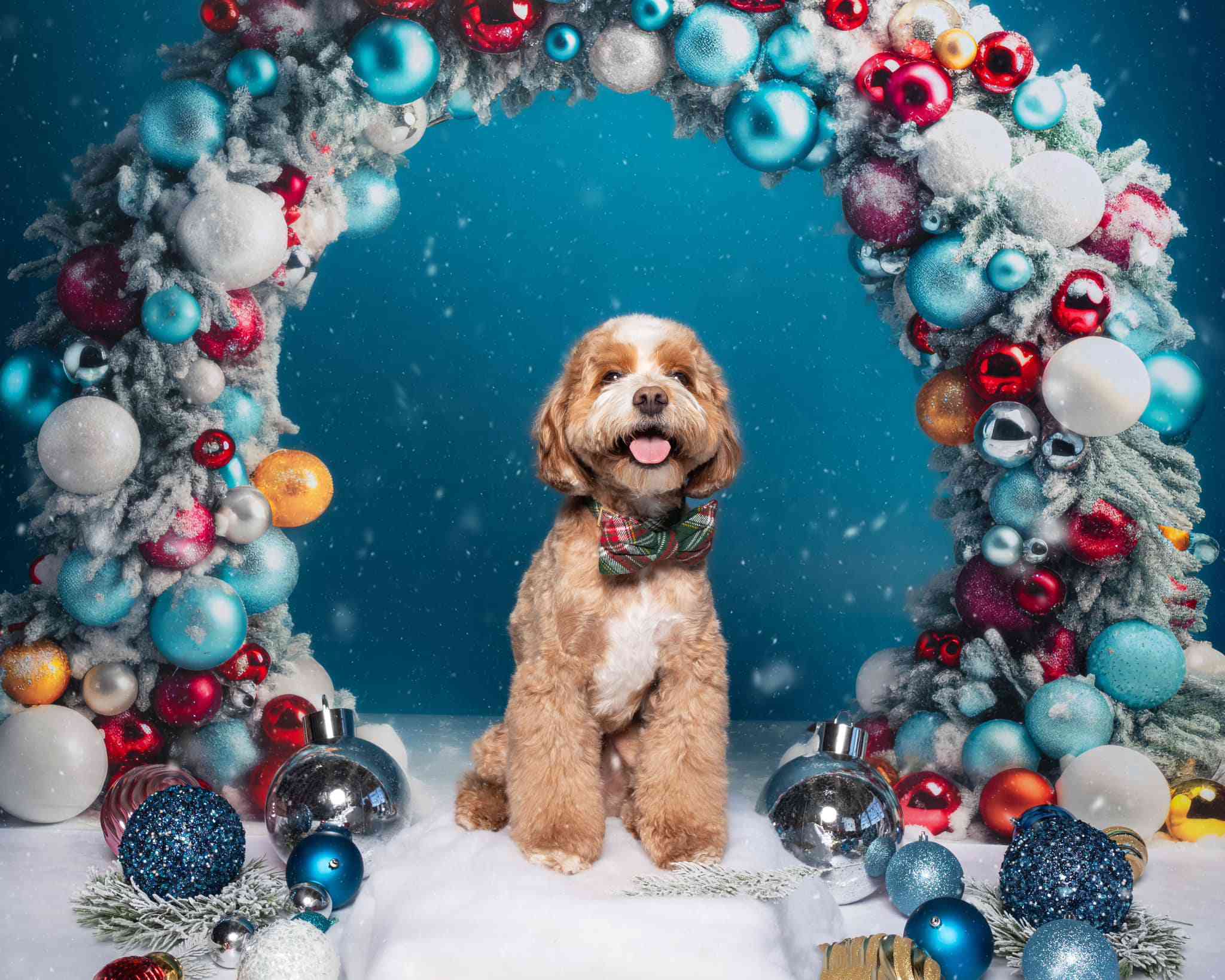 Kate Christmas Ornament Arch Backdrop Designed by Mandy Ringe Photography - Kate Backdrop AU