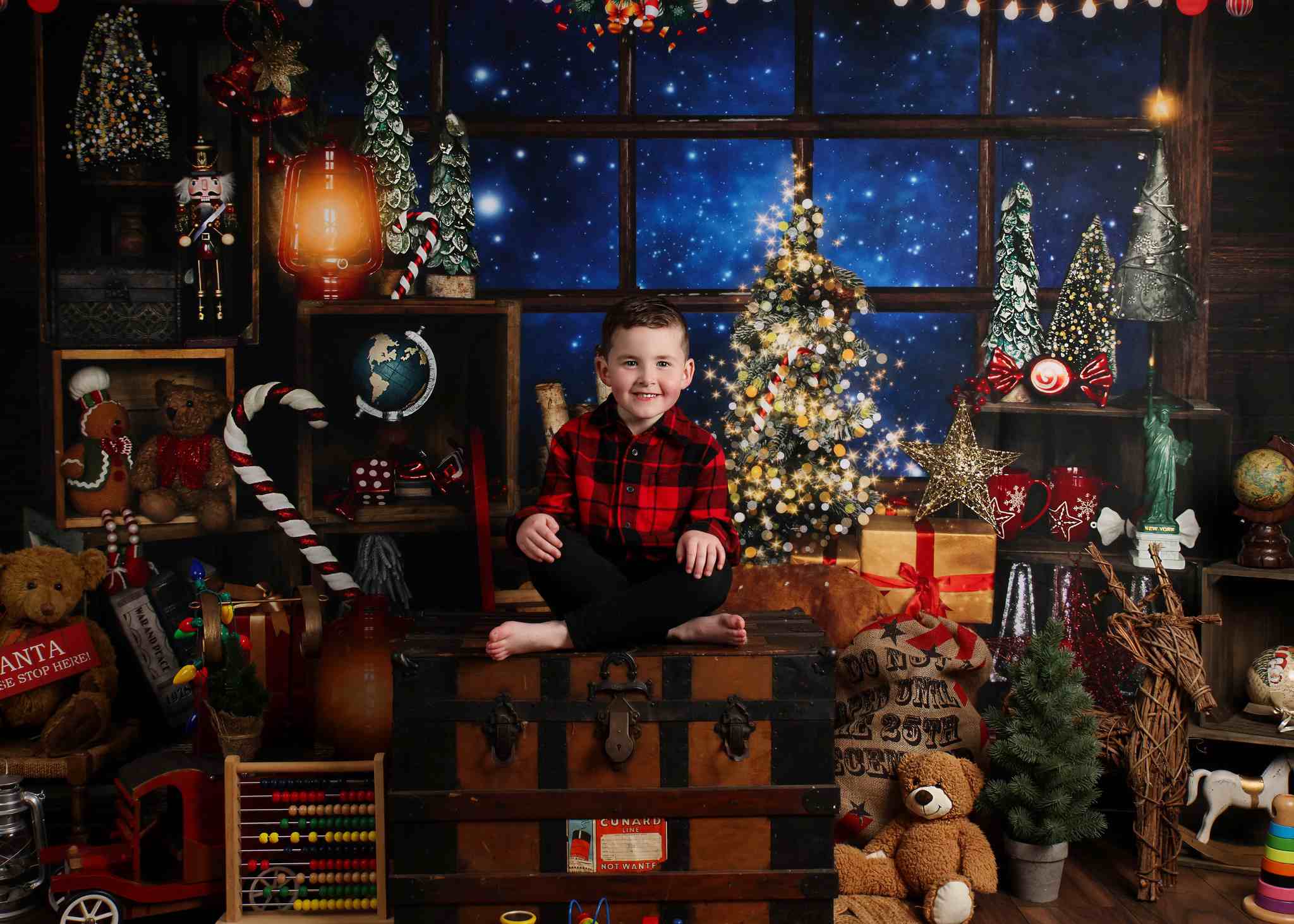 Kate Christmas Night Backdrop Tree Elk Window Starry Sky for Photography - Kate Backdrop AU